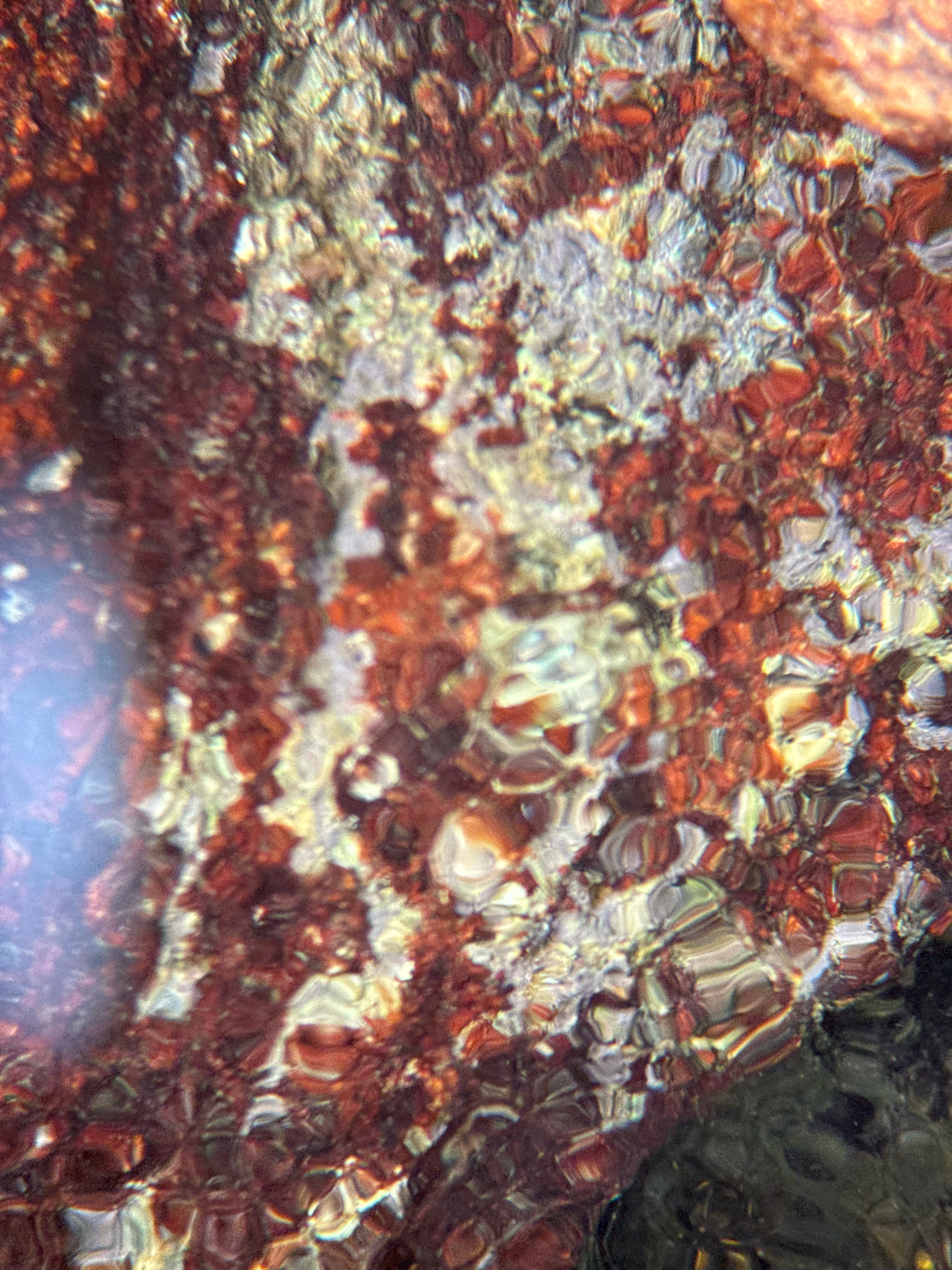 The image shows a close-up, abstract view of a rocky surface, possibly underwater, with ripples distorting the textures and colors. The dominant colors are earthy reds, browns, and whites, with some areas appearing lighter and more reflective, suggesting the presence of water. The light refracts and reflects off the surface, creating a mosaic of shapes and highlights. The location is identified as being near the shoreline in Nha Trang, Vietnam. There are no people or discernible objects that would suggest specific activities.