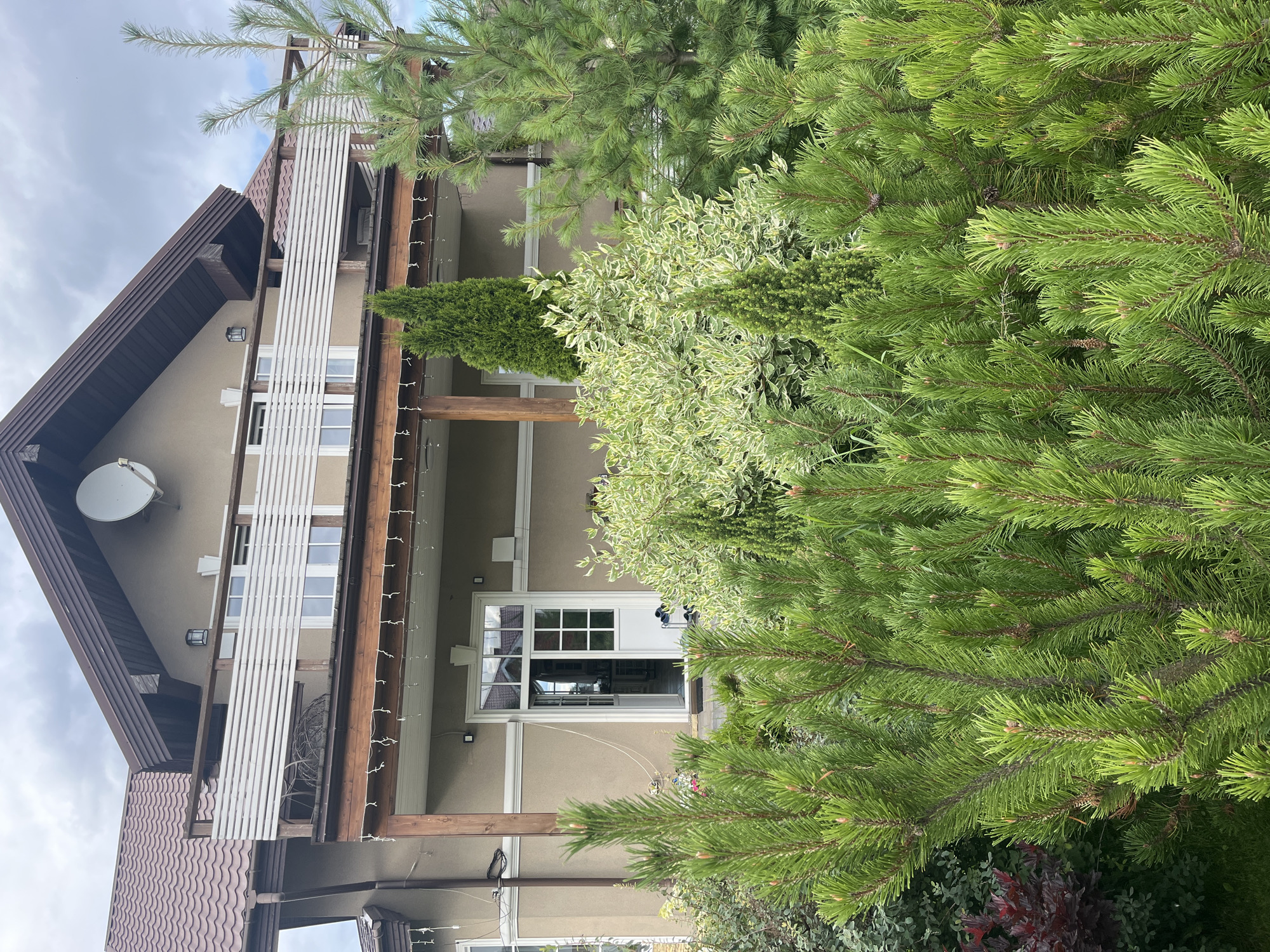 The image shows a two-story house with a beige exterior and a brown tiled roof. A balcony with white horizontal slats runs along the second story. The house has a satellite dish mounted on the roof. There is a covered porch on the ground floor with wooden pillars and string lights. An open white door with glass panes is visible on the ground floor, leading into the house. The foreground is filled with lush green pine trees and other foliage, including a bush with variegated leaves and a darker red bush. The scene appears to be a residential property. The location is identified as Vladimirovka, Russia.