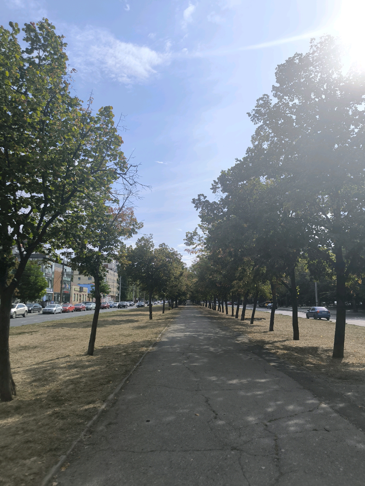The image depicts a paved walkway lined with trees on the left side of a city street in Mykolaiv, Ukraine. The walkway runs parallel to the street, which has multiple lanes of traffic and parked cars. Buildings are visible in the background beyond the trees. The sky is blue with some clouds, and the sun is shining brightly, casting shadows from the trees onto the walkway and the grass. The overall scene suggests a sunny day in an urban environment.