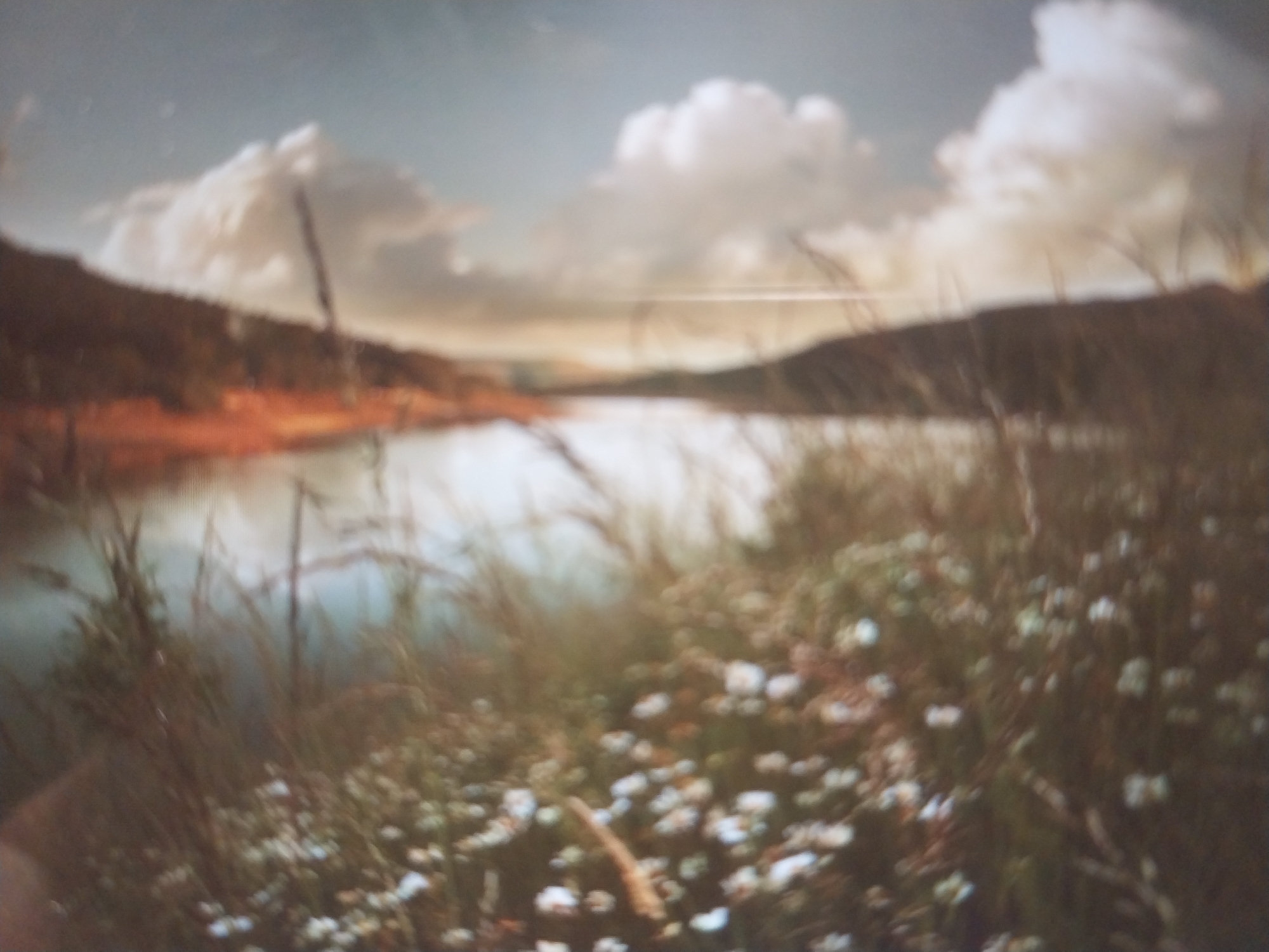 The image depicts an abstract, out-of-focus scene with a vertical split. On the left side, there is a blurry representation of greenery, possibly foliage or branches with small white clusters, suggesting a natural element like a tree or bush. The right side is dominated by a bright, fuzzy white mass that appears to be smoke or a cloud, with an underlying reddish-brown area that could be fire or a textured surface. The overall impression is one of chaos or a dynamic event, possibly a fire near vegetation. The location is unknown.