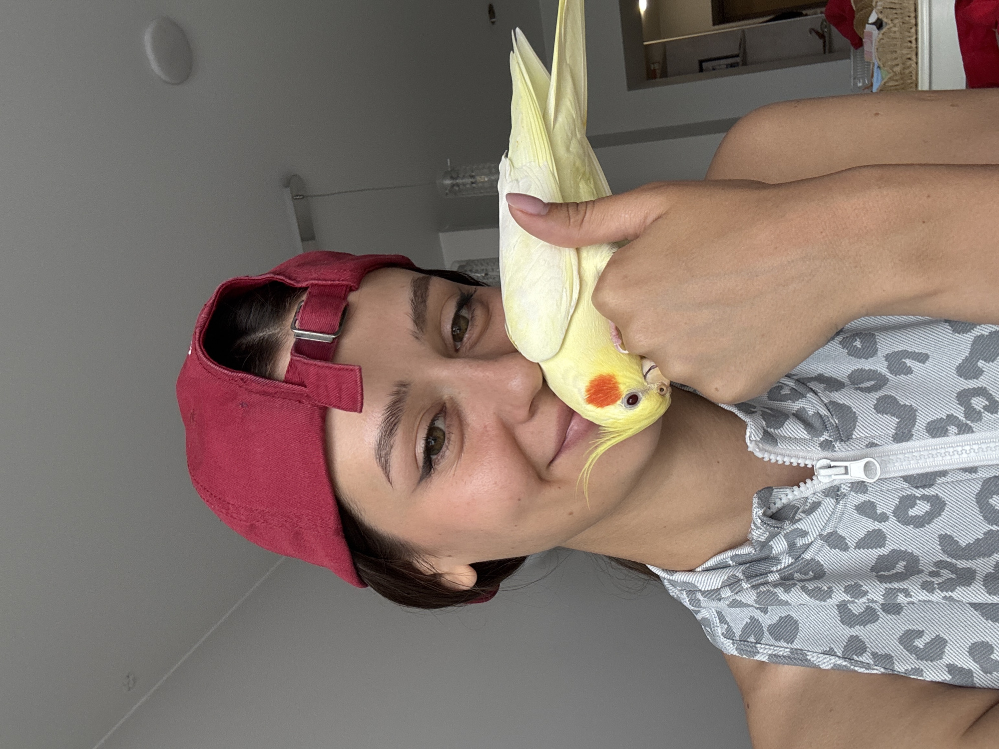 A medium shot captures a young woman wearing a red baseball cap and a gray leopard-print zip-up top indoors, holding a yellow cockatiel bird gently against her cheek. The bird is facing the camera, with its head tilted slightly and its orange cheek patches visible. The woman is smiling and looking towards the camera, with her eyes angled slightly to her left. The background is blurred, but appears to be a domestic interior with a gray wall and possibly some lighting fixtures visible. The image is likely taken in Krasnoyarsk, Russia.