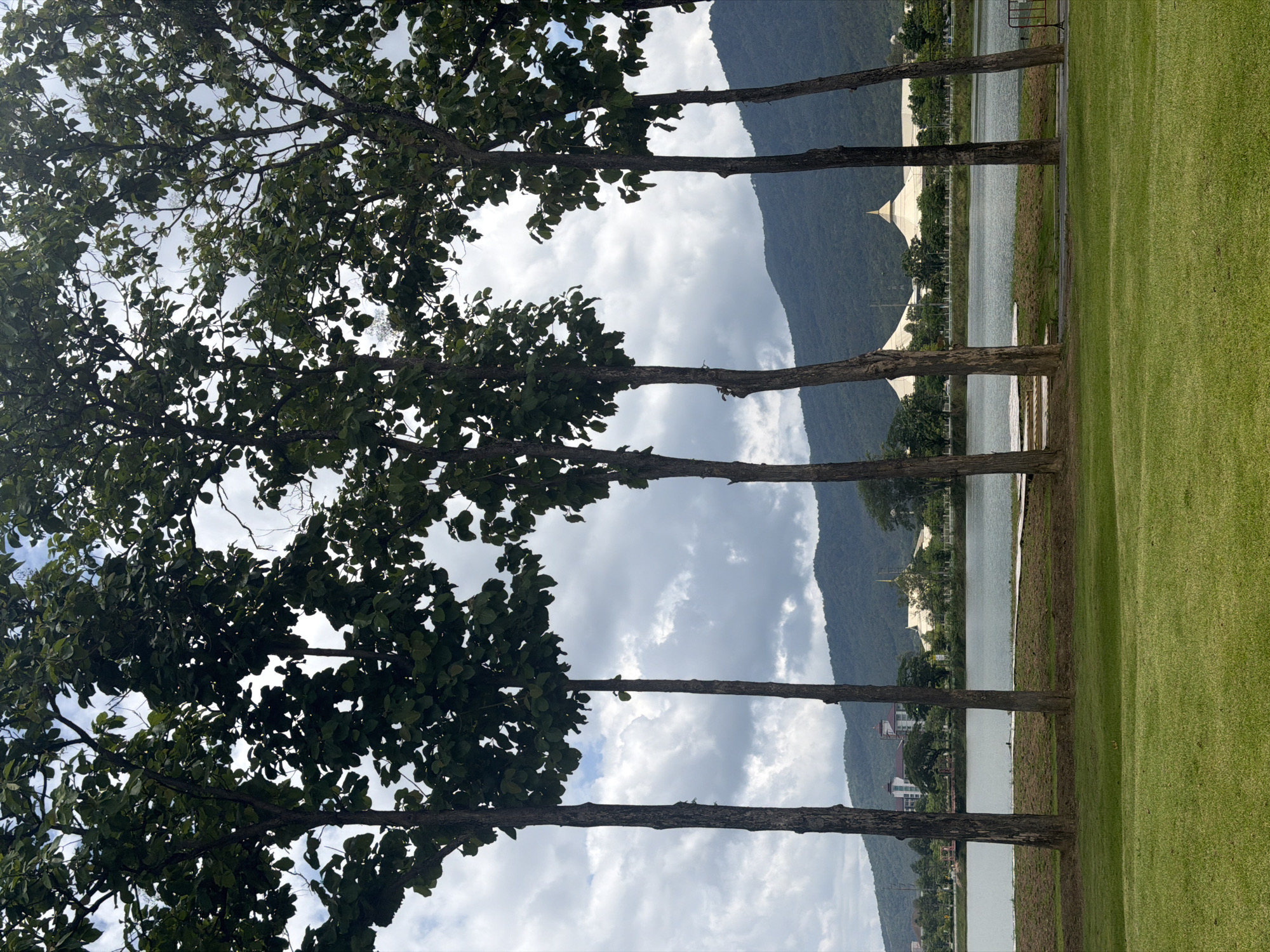 The image shows a row of trees with green foliage lining a grassy area next to a body of water. Beyond the water, there are buildings and mountains in the background under a cloudy sky. This scene appears to be located in Chiang Mai City Municipality, Thailand, as indicated by the environment and buildings in the background.