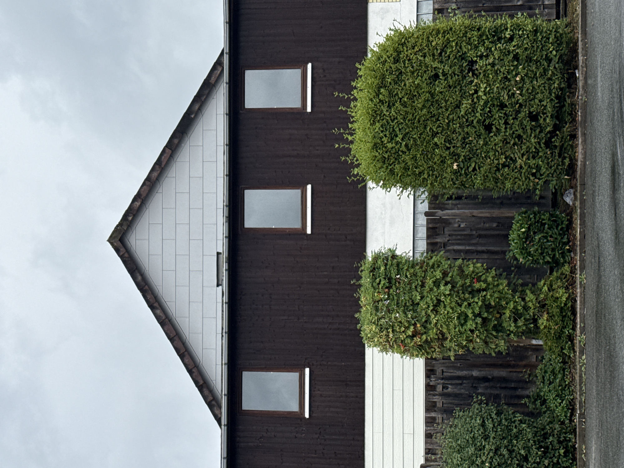 The image depicts a residential building in Bad Sachsa, Germany, characterized by its dark wood siding and a white-tiled gable. Three rectangular windows are visible on the upper floor. In front of the building, a wooden fence is partially obscured by lush green bushes and a tall, tree-like shrub with red berries. The ground in front of the fence is a paved surface, likely a road or sidewalk, which appears wet. The sky is overcast, suggesting a cloudy day. No people or animals are present in the scene.