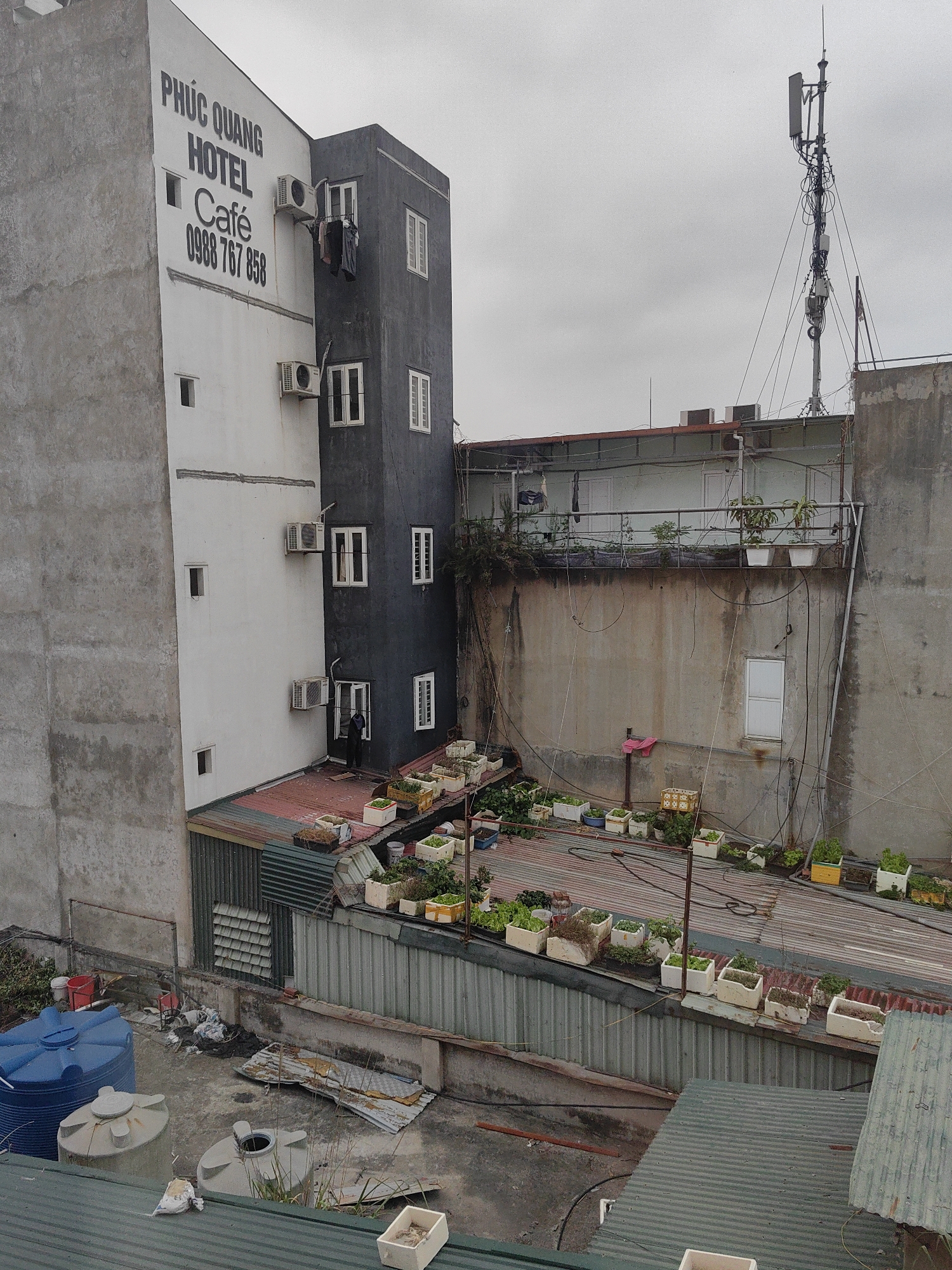 The image shows a cluttered urban scene in Bai Chay Ward, Vietnam. A multi-story building, "Phuc Quang Hotel Cafe" with a phone number, is visible with attached smaller grey and white sections. Laundry hangs from one of the windows. Numerous potted plants are growing on various rooftops and ledges, suggesting urban gardening. Various tanks (blue and grey) are on the roofs. A telecommunications tower rises above the adjacent structures. The weather appears overcast and the scene includes visible wiring and assorted debris on the roof. A person can be seen by the door of the hotel.