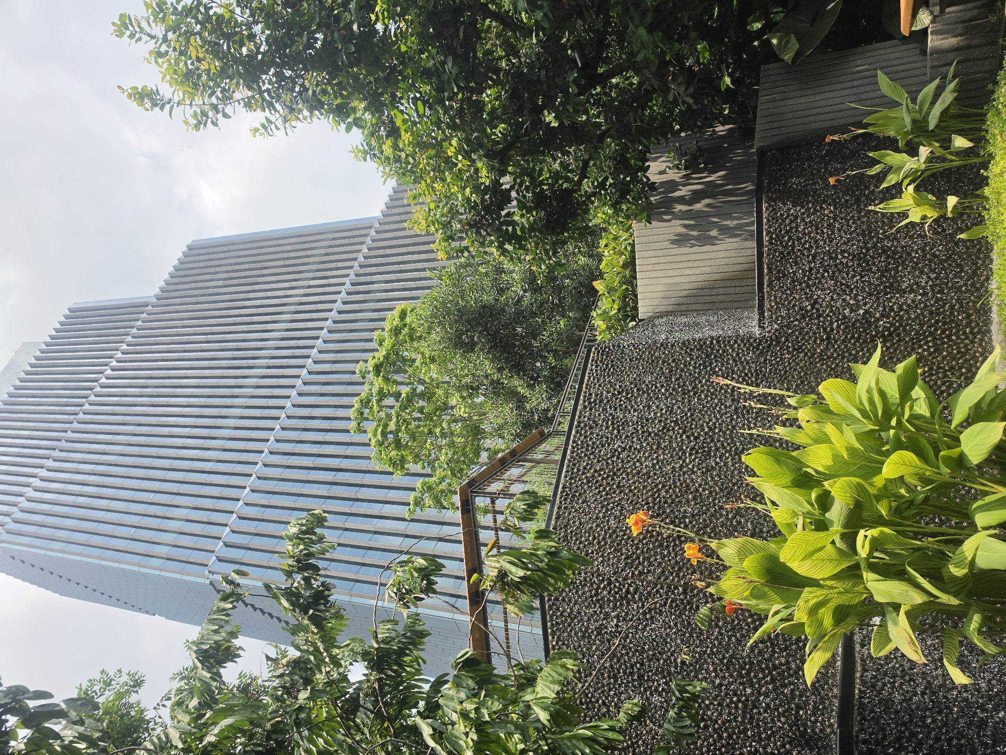This vibrant, sunlit image captures a striking contrast between modern urban architecture and lush tropical nature in Bangkok, Thailand. A tall, contemporary building dominates the left side of the frame, featuring a distinctive stepped and tiered facade composed of numerous horizontal louvers or panels that reflect the bright, overcast sky.
In the foreground and midground, dense, verdant foliage fills the right side of the image and frames the building. Large trees with numerous green leaves extend across the top and center, while closer to the viewer, a meticulously designed water feature is visible. This feature is characterized by a dark, textured wall of small, dark pebbles over which water gently flows, creating a subtle sheen. Adjacent to this pebbled wall is a dark, slatted pathway or steps. Several tropical plants with broad, striped green leaves and small, vivid orange flowers add bursts of color along the water feature. A metal and wooden trellis-like structure is also visible among the greenery in the midground.
The scene is illuminated by bright daylight under a clear to slightly overcast sky, suggesting either morning or afternoon. No people or visible text are present, emphasizing the serene interplay of man-made and natural beauty within an urban environment.
