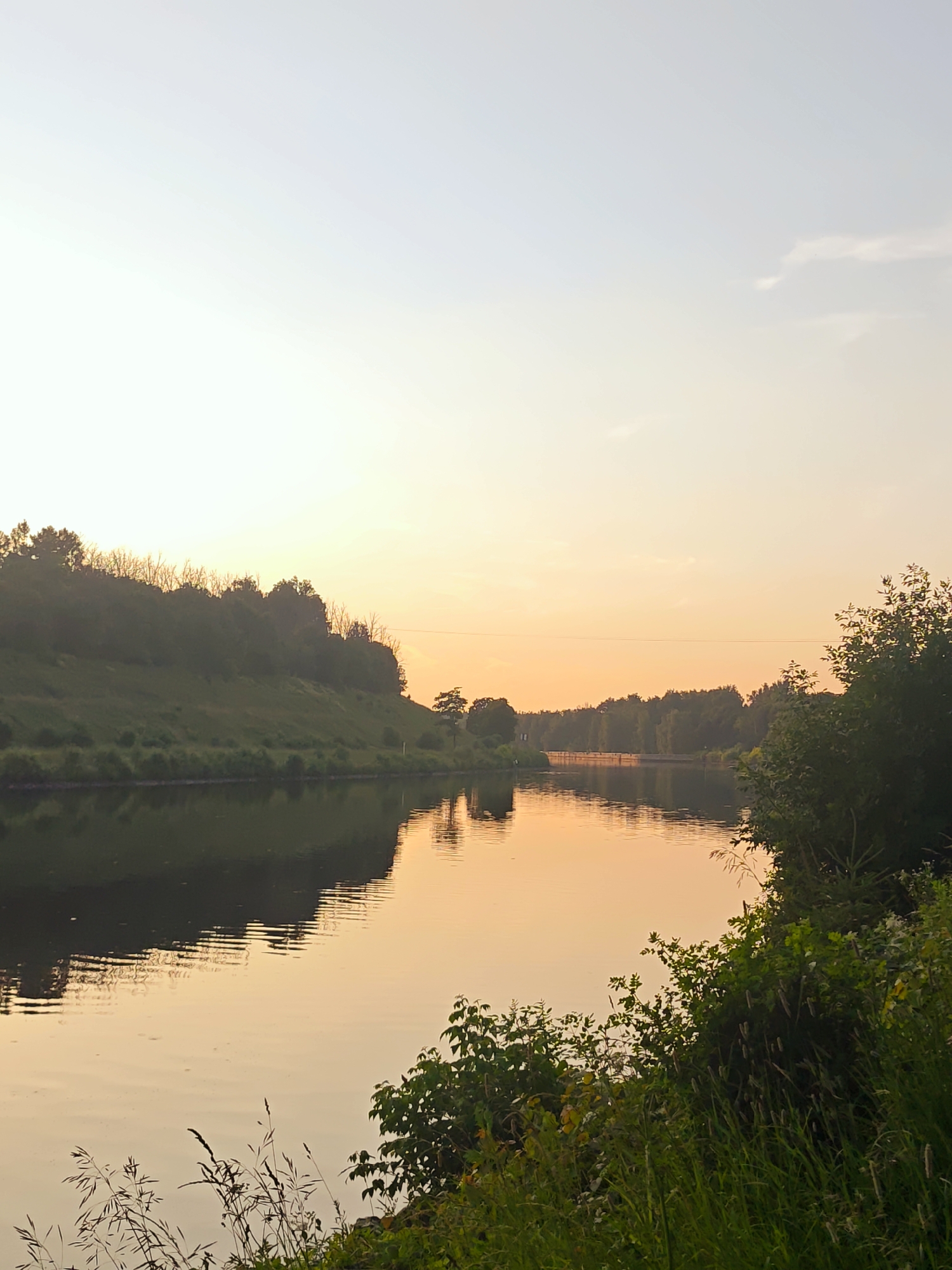 This is a landscape photograph of a tranquil river scene at sunset in Dedenevo, Russia. The dominant subjects are the river, the tree-lined banks, and the sky. On the left side of the frame, a grassy, tree-covered hill slopes down to the water's edge. On the right, lush green foliage, including bushes and tall grass, grows along the bank, extending into the foreground. The river itself is calm and reflects the warm hues of the sky, creating a shimmering surface with subtle ripples.
The activity taking place is simply the observation of a natural landscape. There are no people or man-made objects prominently featured, contributing to the sense of peace and natural beauty. The time of day is clearly sunset, indicated by the soft, warm orange and yellow tones in the sky and their reflection on the water. The weather appears to be clear, with only a hint of a distant, wispy cloud.
Notable details include the detailed reflection of the trees and hills on the water, and the way the light catches the grass in the foreground. The overall emotion evoked is one of serenity and calm. There is no visible text in the image.