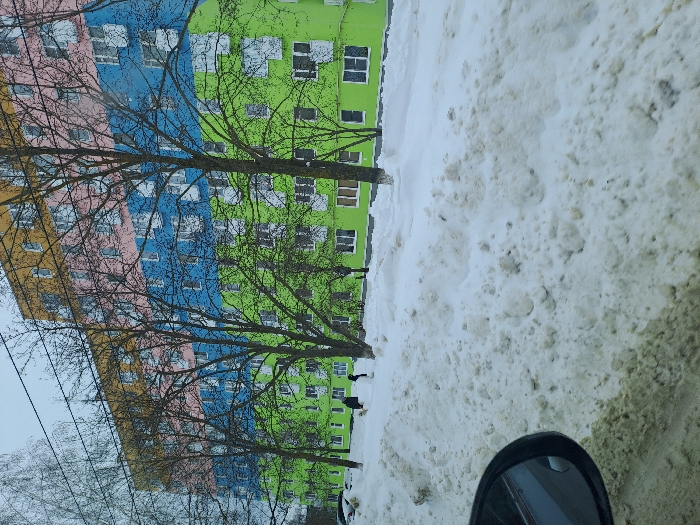 This image captures a winter scene in Sasovo, Russia. The primary subject is a multi-story residential building with a distinct facade featuring horizontal bands of color: yellow-orange at the top, followed by pink, blue, and lime green at the base. The building presents multiple white-framed windows and balconies across its visible levels. Several bare deciduous trees occupy the mid-ground, partially obscuring the structure. The foreground and mid-ground are characterized by significant accumulations of white and greyish snow, forming uneven drifts. Two individuals in dark clothing are observed at the base of the building; one is in a stooped posture, the other stands upright nearby. A dark vehicle is partially visible behind a snowdrift on the far left. The photograph was taken from within a vehicle, with a portion of a side mirror visible in the lower-left corner. The sky is uniformly overcast.