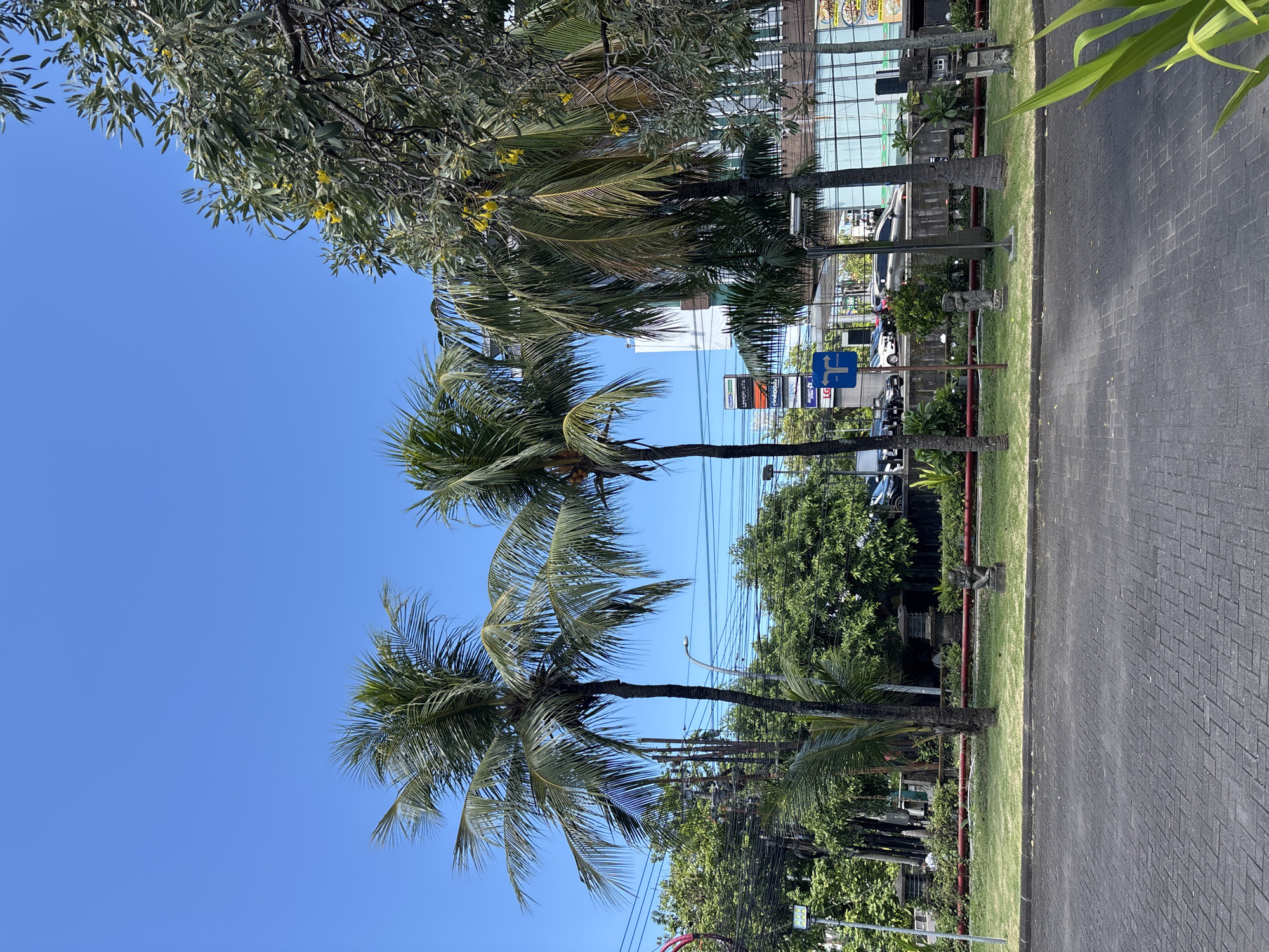 The image shows a street scene in South Denpasar, Indonesia. The view is oriented with a clear blue sky above, and the ground level consists of a paved area, likely a road or sidewalk, made of interlocking dark gray bricks. A narrow strip of green grass separates the pavement from the base of several trees, primarily palm trees.
There are three prominent palm trees in the foreground. Their trunks are dark and slender, with large clusters of green fronds at their tops. A larger, leafy tree with yellowish flowers is partially visible in the upper left corner of the image. Utility wires stretch across the scene, slightly obstructing the sky.
In the background, there is a building with reflective glass windows. Signage and parked vehicles can be seen behind the trees along the street. A blue directional sign is visible among the trees and signs.