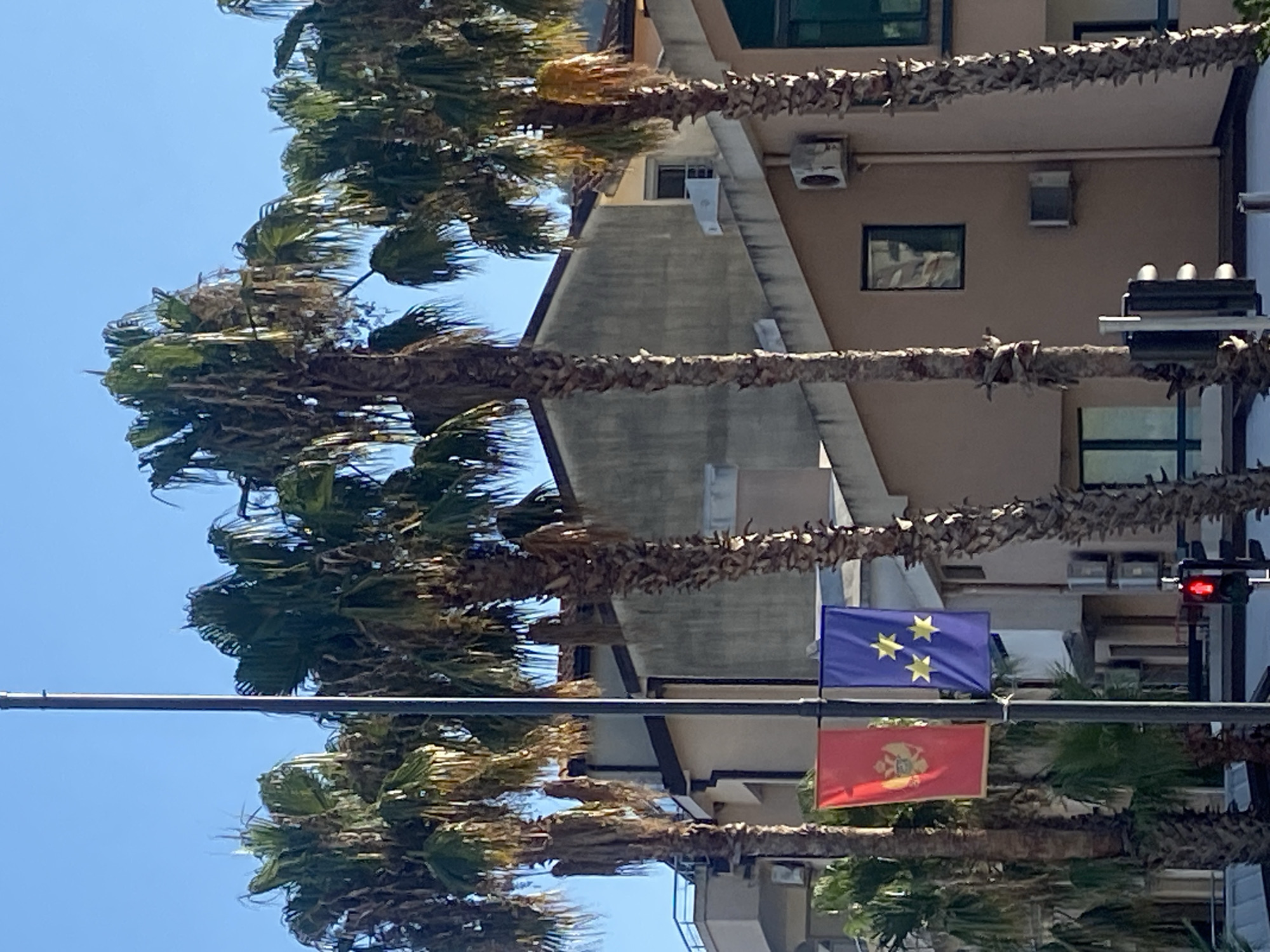 The image shows a street scene with palm trees in the foreground. In the background, there is a building with windows and air conditioning units. Two flags are visible, one blue with three yellow stars and another red with a coat of arms. A traffic light with a red light illuminated is also visible. The sky is clear and blue, suggesting it is daytime with good weather. The scene appears to be in Budva, Montenegro, as indicated by the context. The image is taken from a low angle, looking up at the palm trees and the building. There is no visible text in the image.