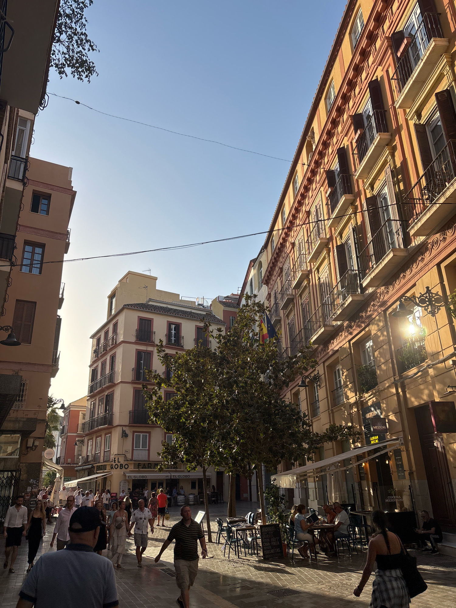 This is an eye-level, medium shot of a sunny street scene in Málaga, Spain, featuring a bustling pedestrian thoroughfare lined with historic buildings. The architecture is characterized by multi-story buildings with ornate balconies, pastel-colored facades, and shuttered windows, indicative of Spanish colonial or Mediterranean styles. Several trees are strategically planted along the walkway, providing pockets of shade amidst the sunlight.
In the foreground, a man wearing a blue polo shirt and a baseball cap walks away from the camera. To his left, a woman in a black dress and a man in a white shirt are walking towards the camera, interacting with each other. Further down the street, a crowd of people are seen strolling, shopping, and dining at outdoor cafes.
The buildings on either side of the street are adorned with signage for various establishments, including "EL GLOBO" and "MEZCAL COCINA MEXICANA," suggesting a vibrant commercial and culinary district. The sunlight casts long shadows across the cobblestone street, indicating it is likely late afternoon or early evening. The sky is clear and blue, typical of a Mediterranean climate. The overall atmosphere is one of lively urban activity on a pleasant day.