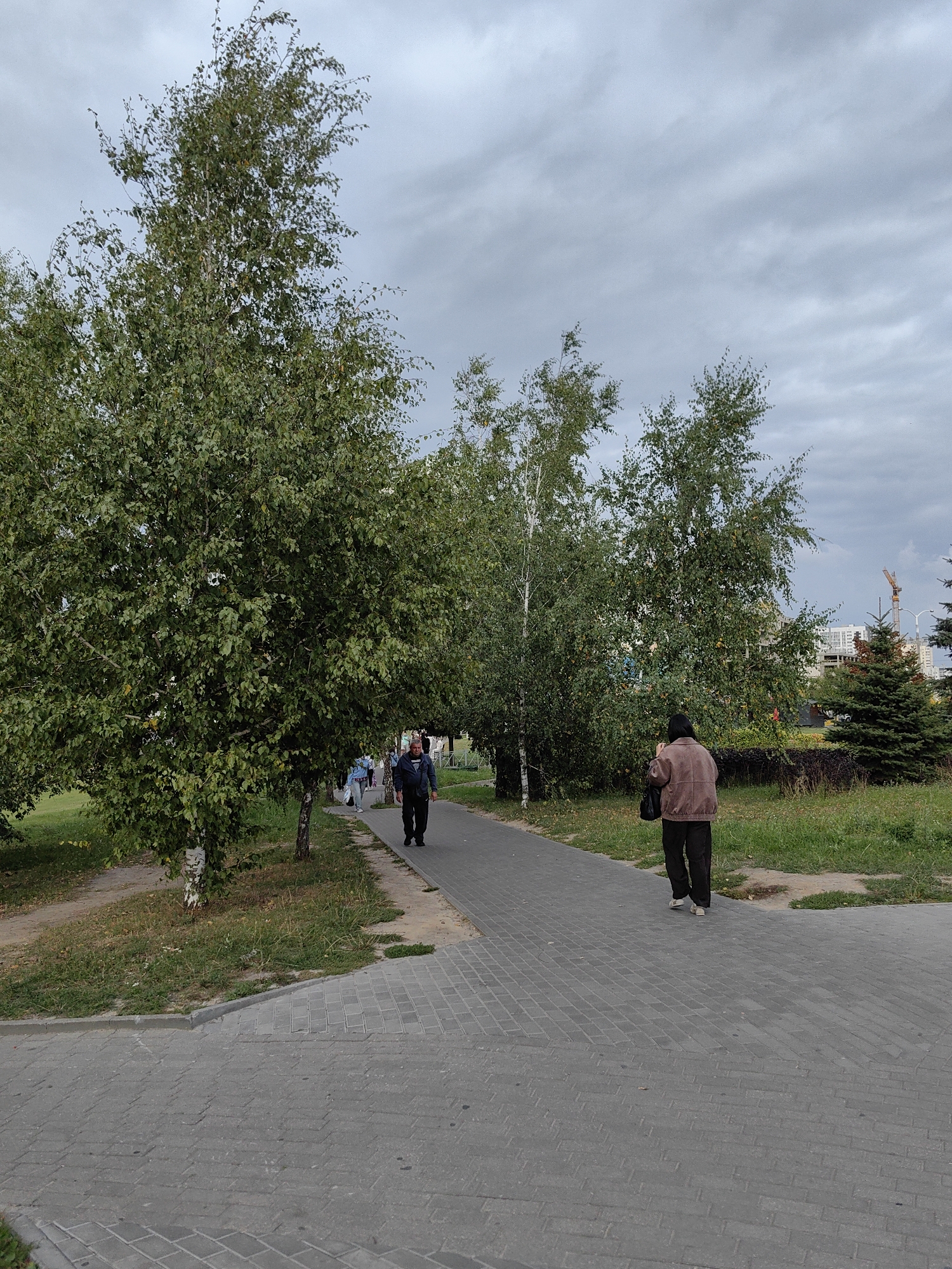 The image depicts a pedestrian path in a park-like setting within the city of Minsk, Belarus. The path is paved with grey rectangular interlocking stones. On the left side of the path, there are several large birch trees with green foliage. Further down the path, a man in a dark blue jacket and black pants walks away from the camera. To the right of the path, there is green grass and some bushes. In the background, more trees are visible, including a small fir tree on the right, and behind it, a crane and buildings suggest an urban environment. A person in a brown jacket and dark pants is walking away from the camera on the path in the mid-ground. The sky is overcast with grey clouds.