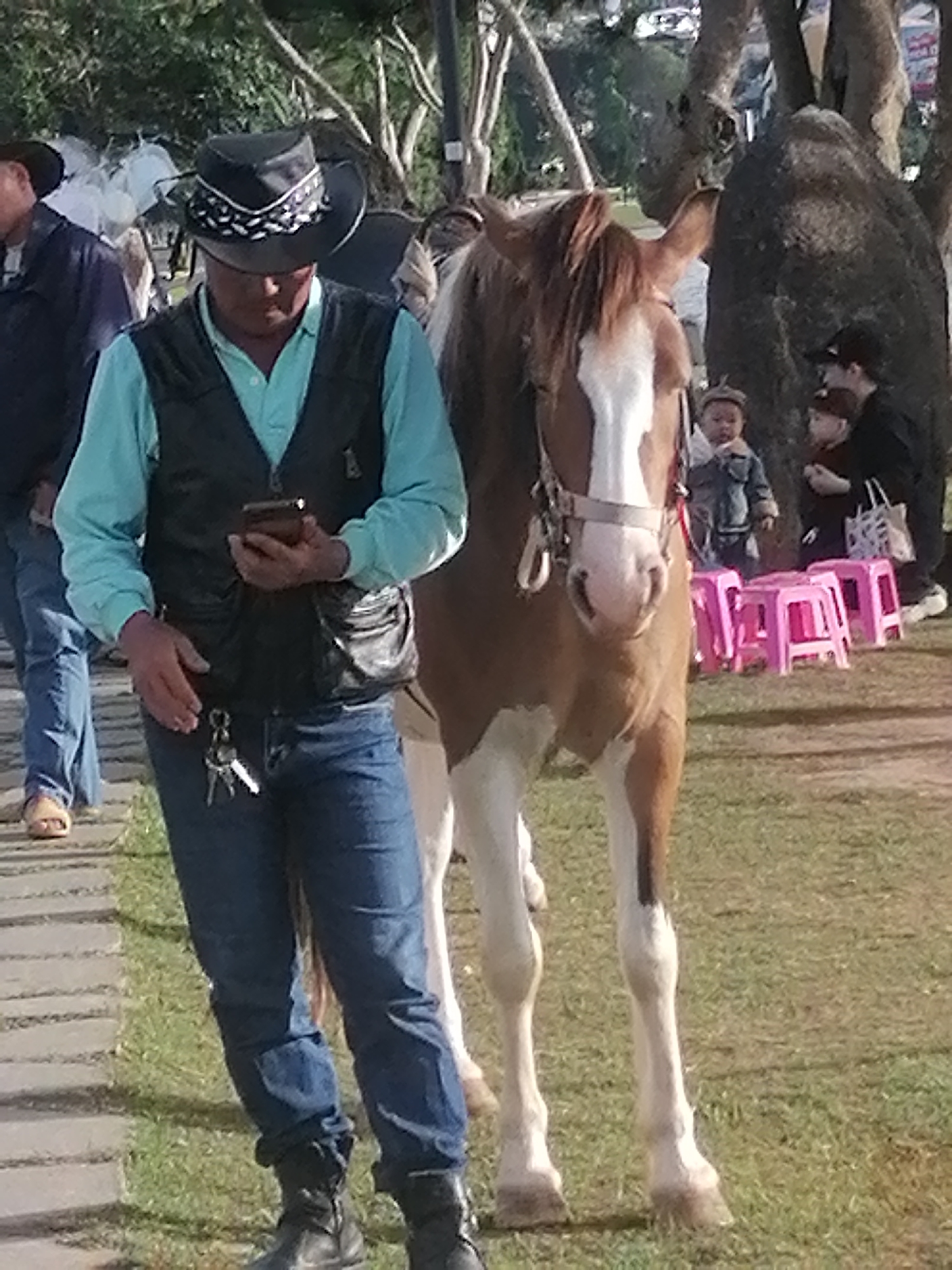 In Da Lat, Vietnam, a man wearing a black cowboy hat, a turquoise collared shirt, and a black vest, is standing and looking at his phone. He has keys hanging from his belt loop and is wearing blue jeans and black boots. Beside him is a brown and white horse. In the background, several children are visible. One child is wearing a denim jacket and a cap. Behind the children are several pink stools and a large rock formation. The scene appears to be outdoors, with grass and trees in the environment.