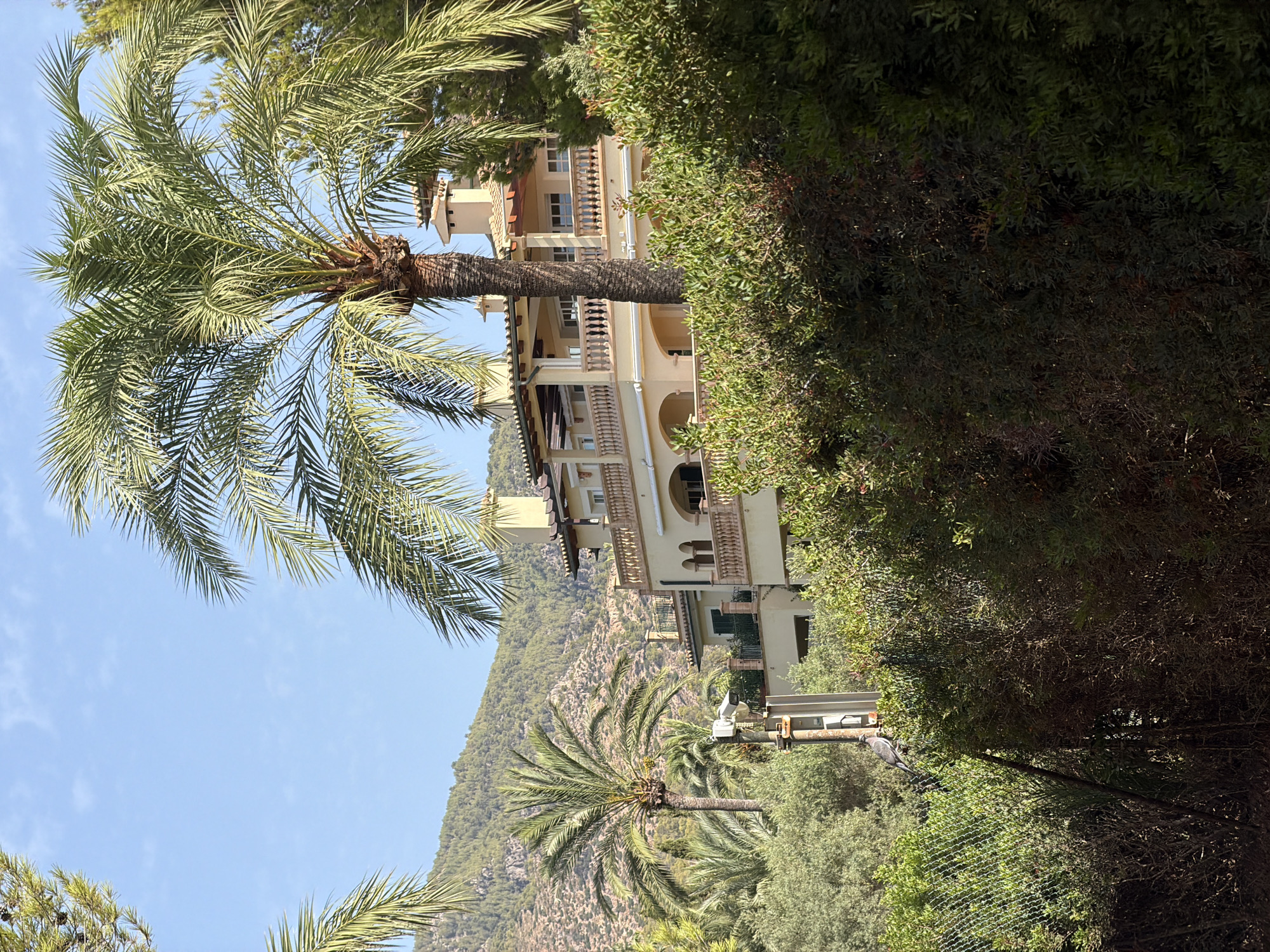 An exterior shot shows a multi-story building with a beige facade and terracotta tiled roof, featuring multiple balconies with ornate railings and arched windows. The building is nestled against a backdrop of a tree-covered mountain range. In the foreground, lush green foliage, including palm trees and other shrubs, partially obscures the view of the building. A chain-link fence runs across the bottom of the frame, and a bird is perched on top of it. A light pole with a security camera is also visible. The sky is a clear blue. The scene suggests a Mediterranean or tropical climate, consistent with Palmanova, Spain.