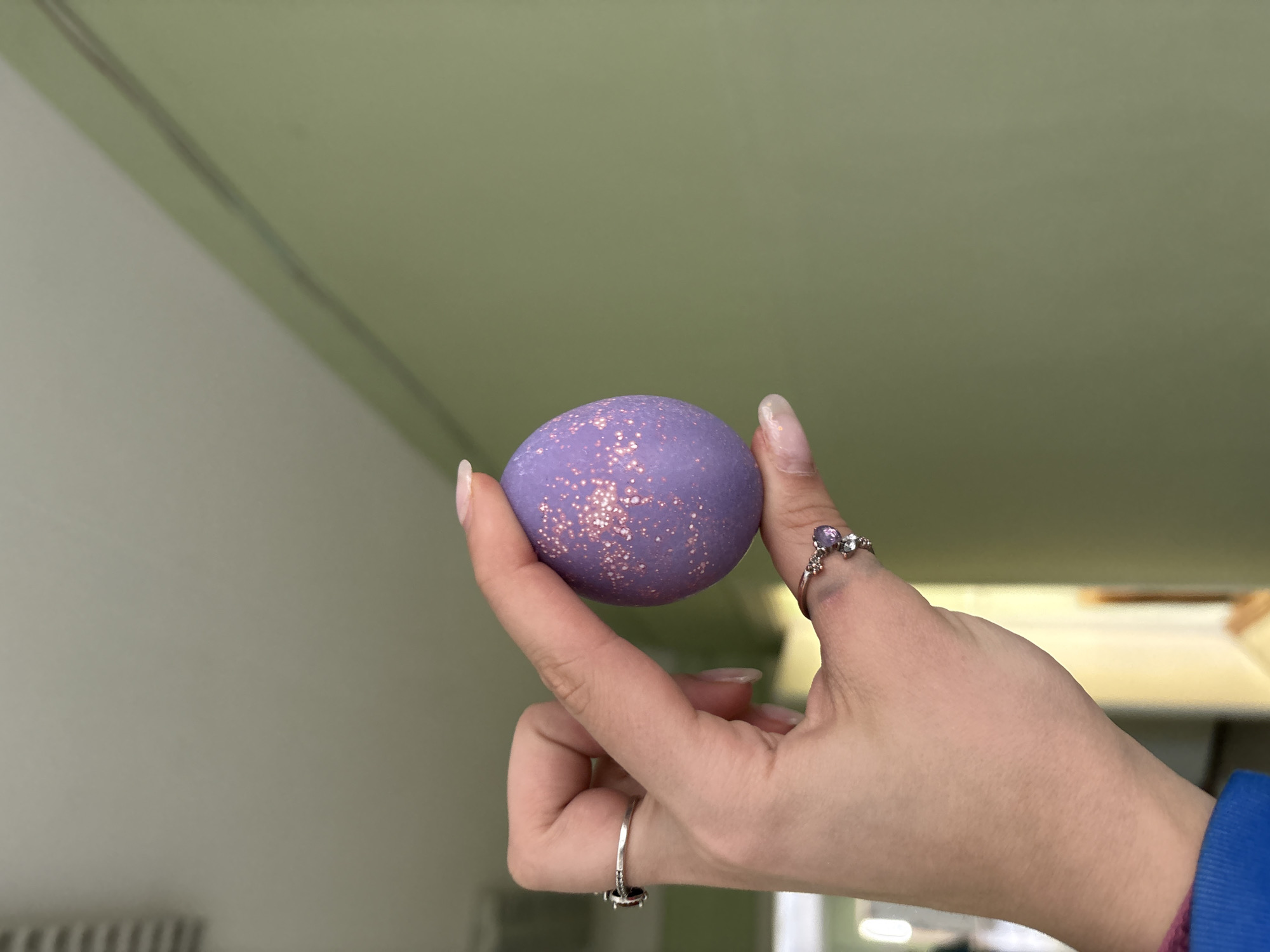 A hand holds a purple, glittered egg. The hand has two rings, one on the thumb and one on the index finger. The background is a light green wall. The location is indeterminable from the provided image.