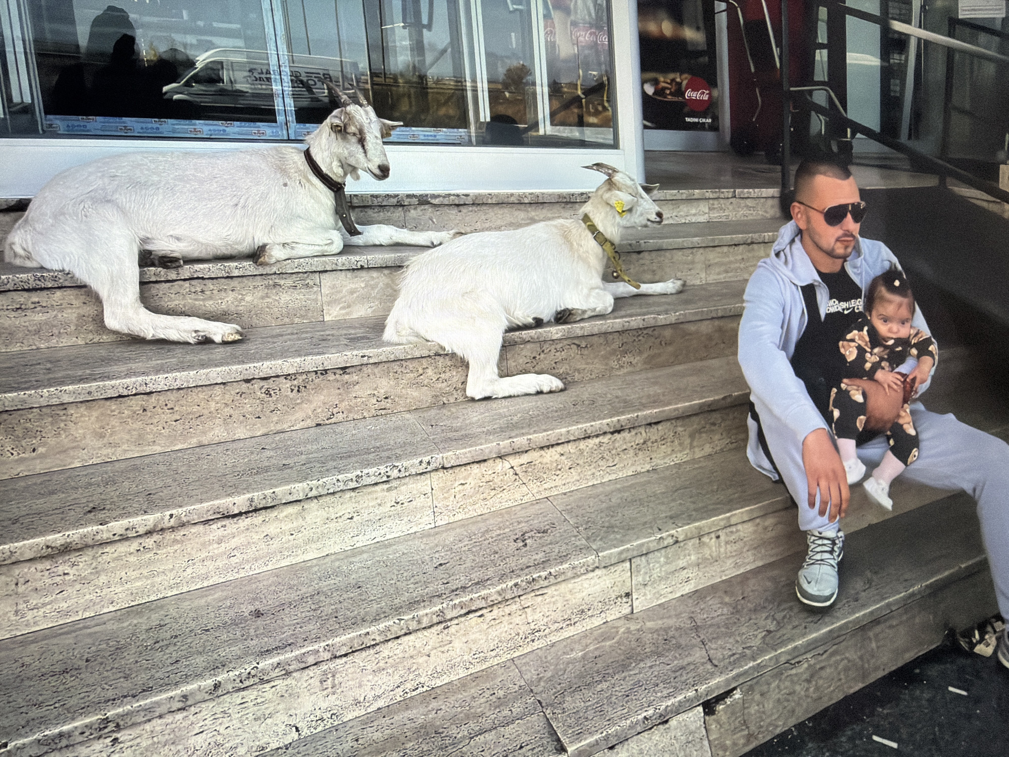 Two white goats with collars lie on stone steps in front of a building with a Coca-Cola advertisement, outside a shop. A man in sunglasses, light blue sweat suit, and black t-shirt sits on the steps holding a baby wearing a black floral outfit and white socks. The location is likely Burgas, Bulgaria.