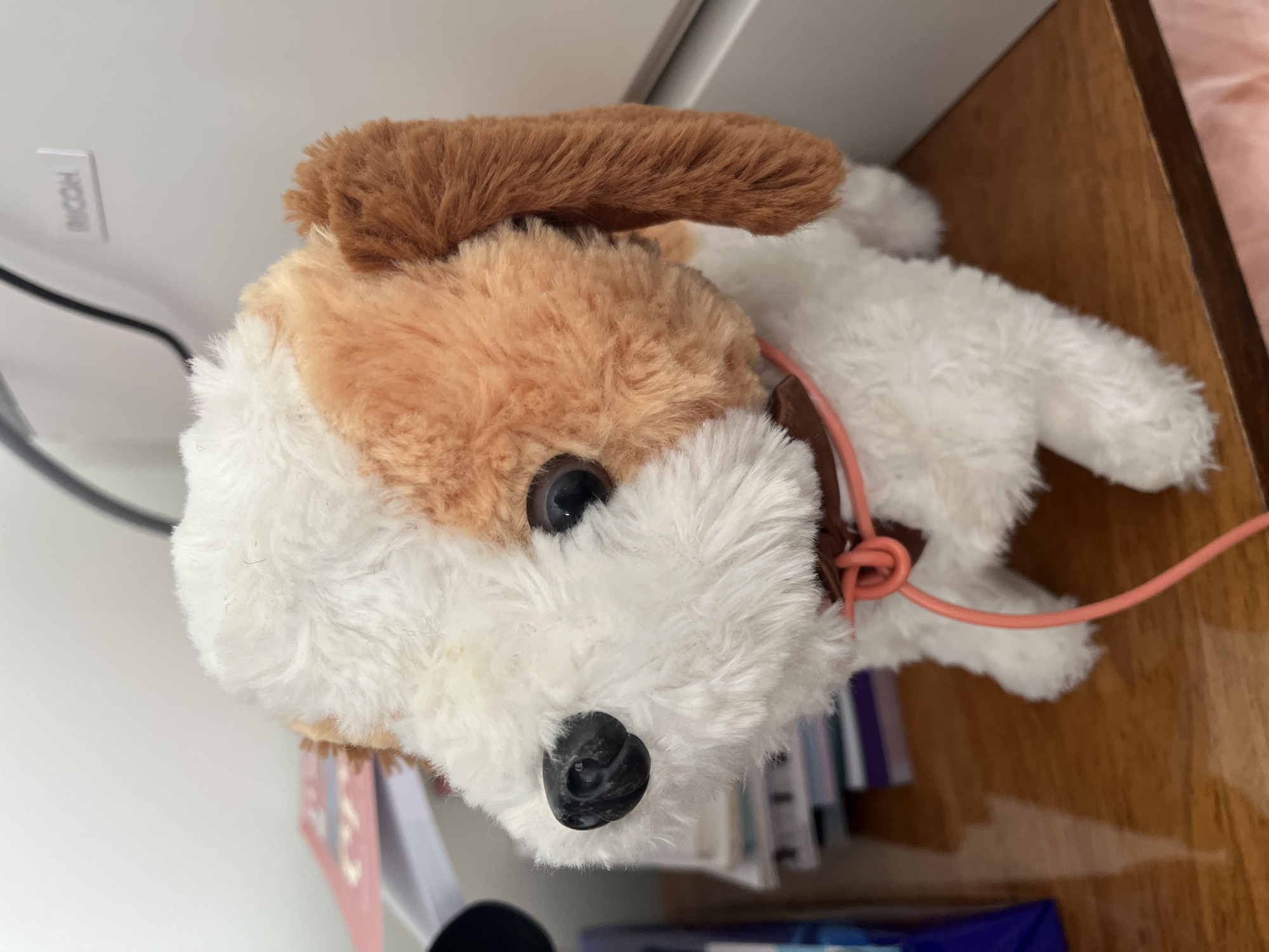 A stuffed dog with white and tan fur sits on a wooden surface. The dog has a black nose and dark eyes. A thin pink leash is attached to a brown collar around its neck. In the background, a stack of books and a white object with the word "RICOH" are visible. The environment appears to be indoors, likely on a desk or shelf.