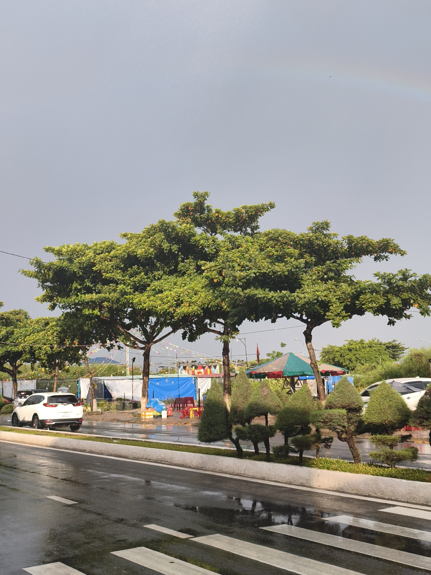 This image depicts a street scene in Nha Trang, Vietnam, likely during or immediately after a rain shower, as evidenced by the wet asphalt road and reflections. A white SUV is parked on the right side of the road, and a white minivan is partially visible on the left. Several trees with dense green foliage line the street, some exhibiting the characteristic umbrella-like canopy of Terminalia catappa. In the background, there are tents, colorful triangular flags strung between poles, and a small rainbow faintly visible in the overcast sky. The foreground features a crosswalk marked on the wet road. The overall impression is one of a slightly damp, outdoor public space in a tropical urban setting.