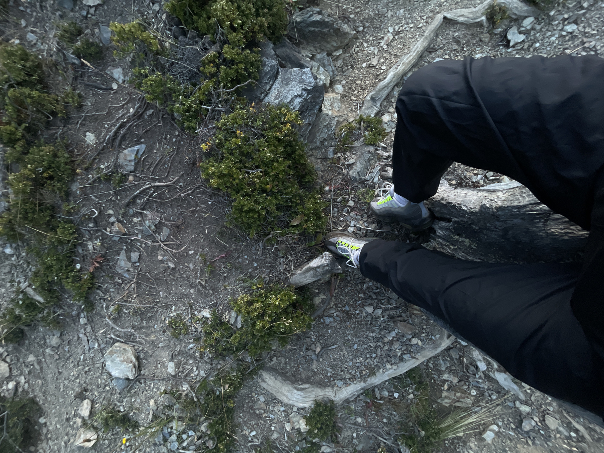 The image depicts a ground-level view of a rocky, vegetation-covered area, presumably in Ushuaia, Argentina, given the type of ground cover and climate conditions. The ground is composed of small rocks, gravel, exposed roots, and patches of green shrubs. A person wearing black pants and grey and neon green hiking shoes is partially visible in the right side of the frame. The scene suggests an outdoor environment, possibly a hiking trail or mountainous area.