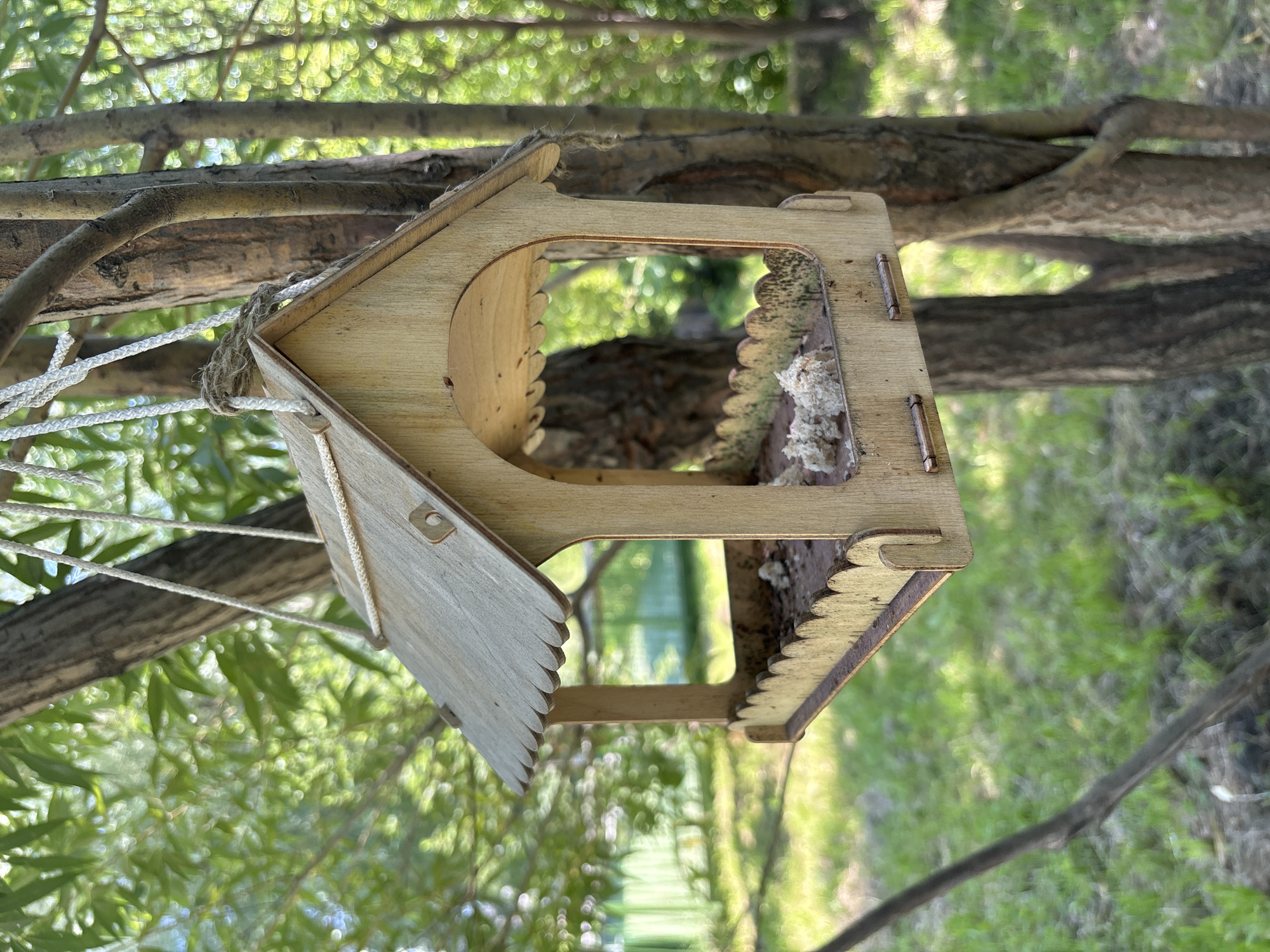 A wooden bird feeder hangs from a tree in a park-like setting. The feeder is shaped like a miniature house with a peaked roof and an open front. It contains a small amount of birdseed. The background is filled with lush green foliage, suggesting a summer day. The lighting is soft and diffused, indicating the presence of shade from the trees. There are no people or animals visible in the image. The image does not provide enough information to determine its specific location within the city of Kazan, Russia, or any other city.
