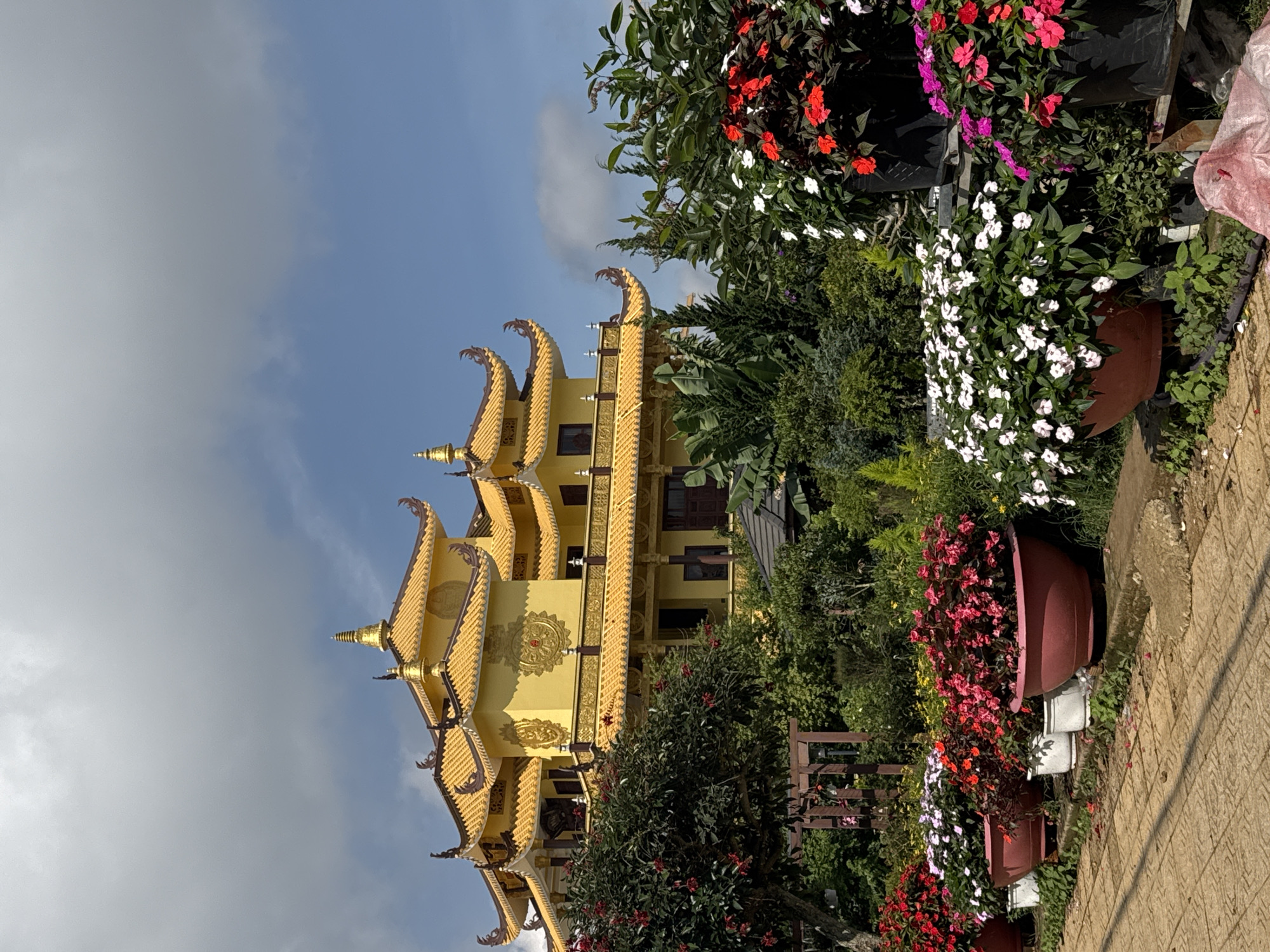 The image captures a striking view of a multi-tiered golden Buddhist temple in Da Lat, Vietnam. The temple has ornate roof detailing with upward-curving eaves. The architecture is richly embellished, featuring golden decorative elements against the temple's primarily yellow facade.
In the foreground, the composition is dense with foliage, including a variety of flowering plants in pots. The pathway, leading to the temple, is visible on the right edge of the image. The sky, with a mix of blue and clouds, provides a backdrop for the temple, contrasting with the gold color.