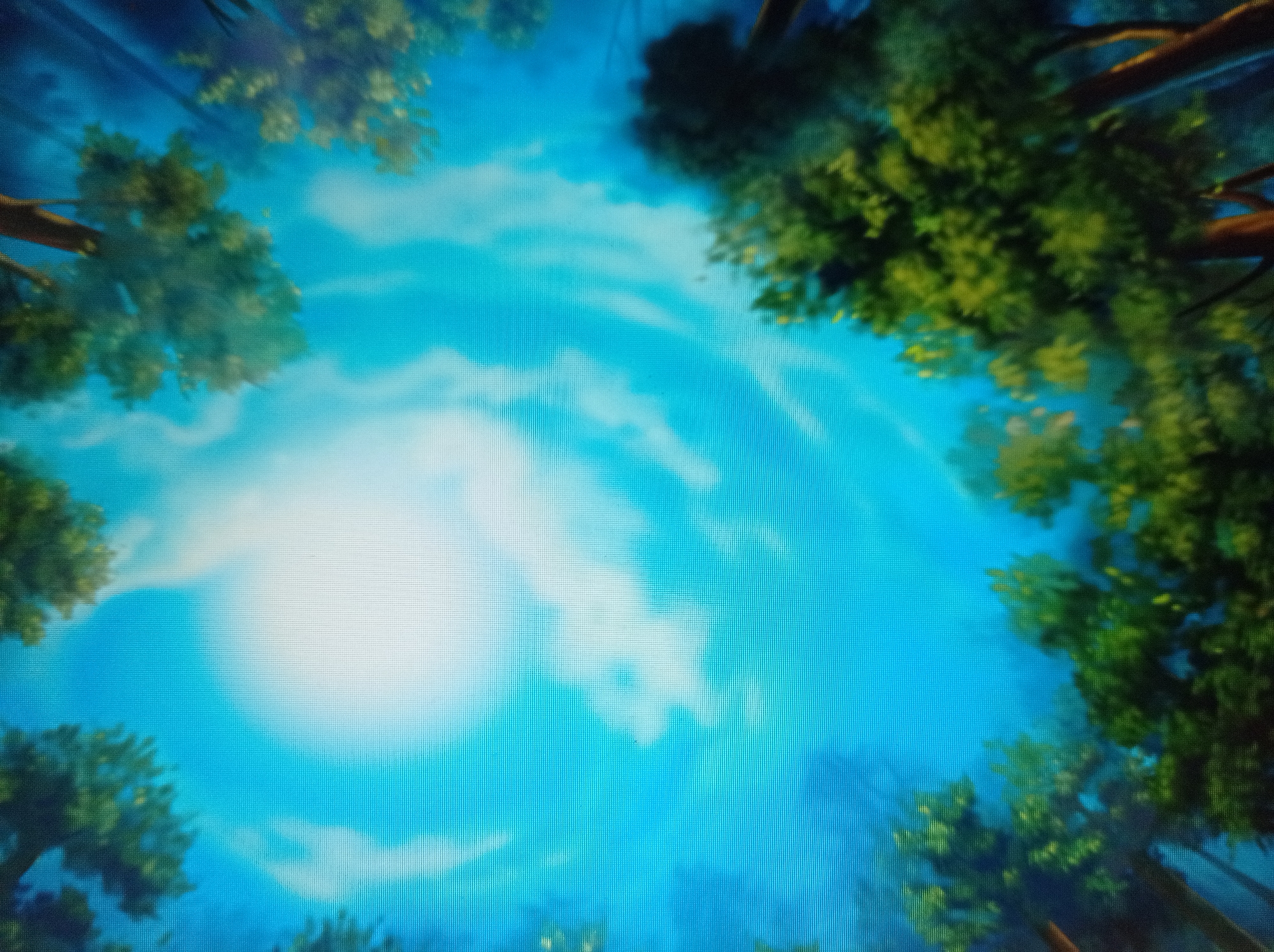 The image is an artistic depiction of a bright, clear sky viewed from below, surrounded by the tops of trees. The sky is a vibrant blue with soft, wispy white clouds. A bright, sun-like orb is visible in the upper right quadrant of the sky, surrounded by a hazy glow. The trees framing the sky are lush and green, with visible branches and leaves. The perspective suggests looking upwards from within a forest or wooded area. There are no people, animals, buildings, or specific landmarks visible in the image. The scene is generic and does not depict any identifiable location within the city of Mukachevo, Ukraine.