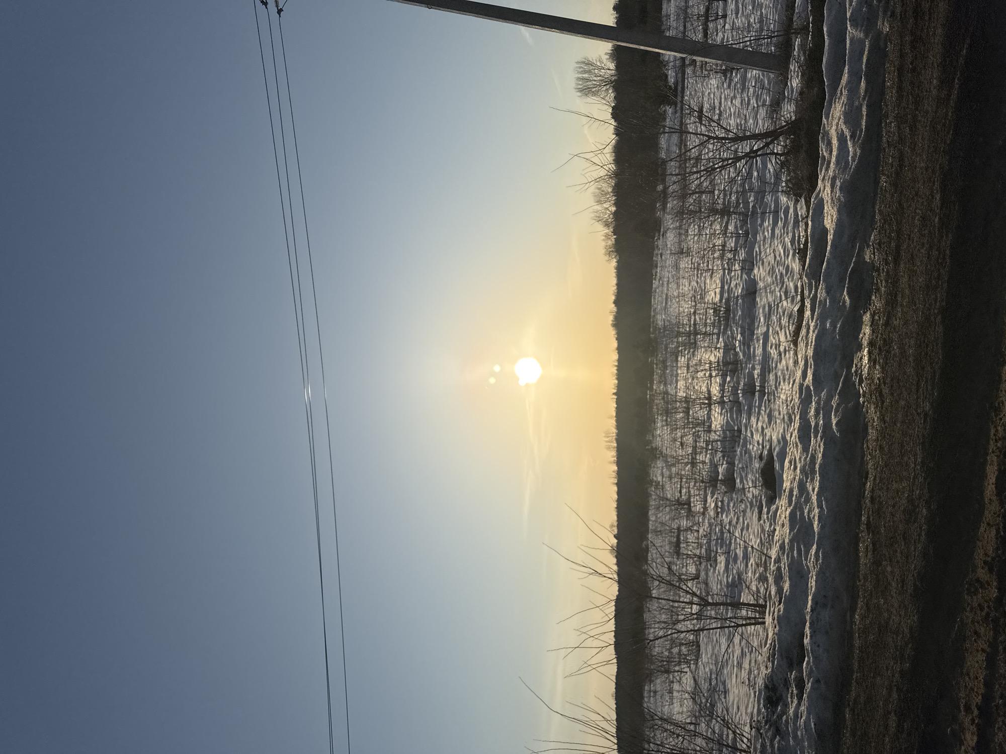 The image depicts a landscape in Noviy, Russia, during what appears to be a winter or early spring scene. The sun is low on the horizon, creating a bright glare and casting shadows across the snowy ground. A line of bare trees stands in the middle of the frame, separating the sky from the snow-covered ground. Power lines run across the upper left corner of the sky, with a utility pole visible on the right. The environment consists of a field with patches of snow and bare vegetation, and a darker area on the right that could be a road or path. There are no people visible in the image.