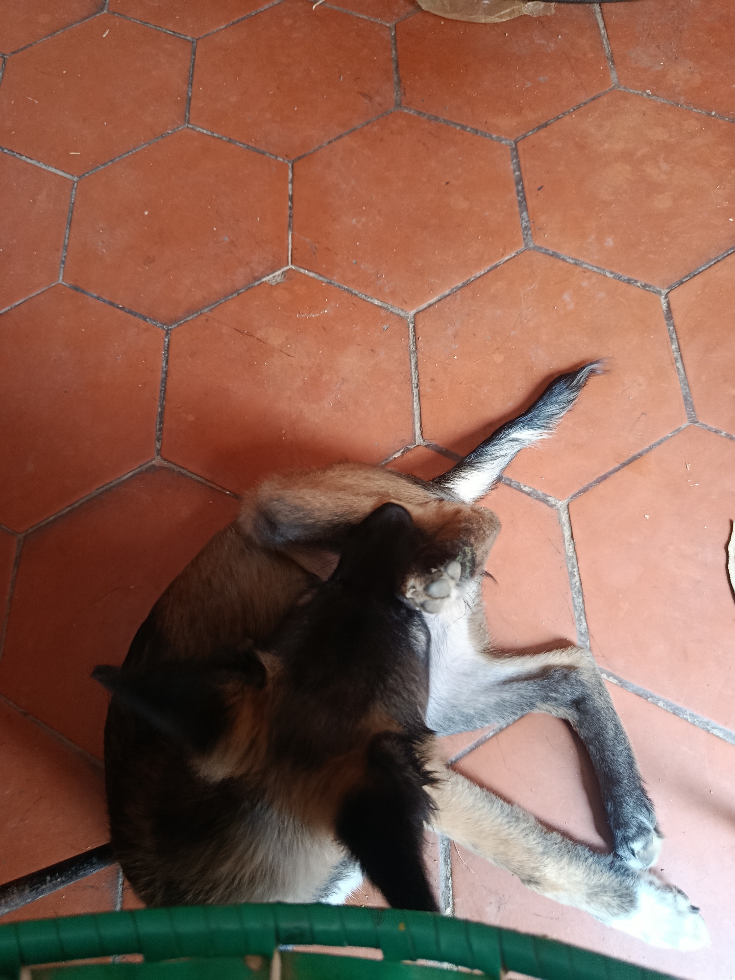 Memory