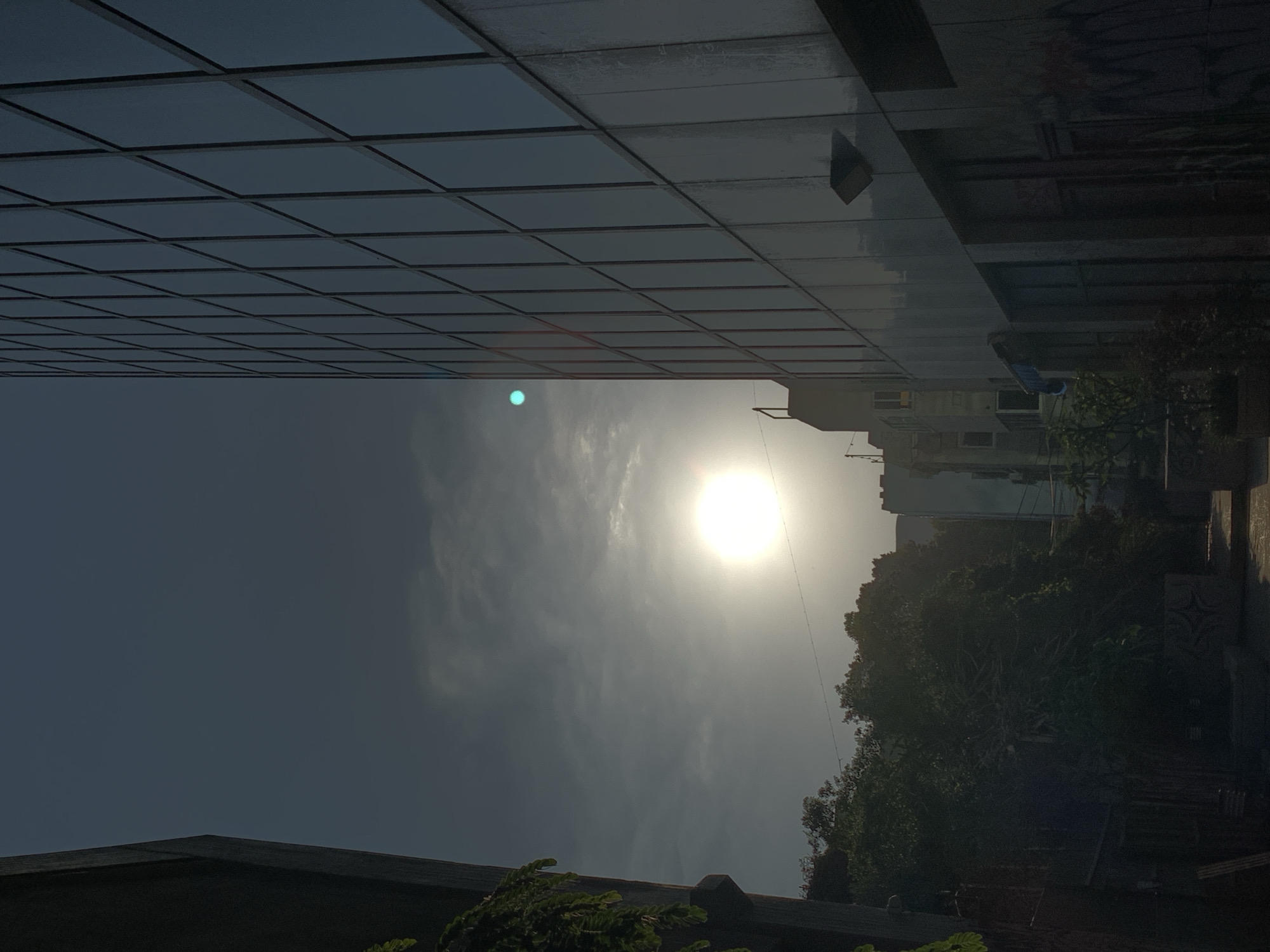 The image depicts a street scene in Tel Aviv, Israel, with a modern glass-fronted building dominating the right side. Sunlight shines brightly, creating a glare, and appears to be low in the sky, possibly indicating sunrise or sunset. The building's facade is reflective, showing the sky and some distant structures. To the left of the building, a narrow alleyway is visible, bordered by dense foliage and other buildings. Some graffiti can be observed on a wall in the alley. The sky is partly cloudy, with the sun partially obscured by the clouds. The overall impression is an urban environment bathed in natural light, highlighting the contrast between contemporary architecture and organic elements.