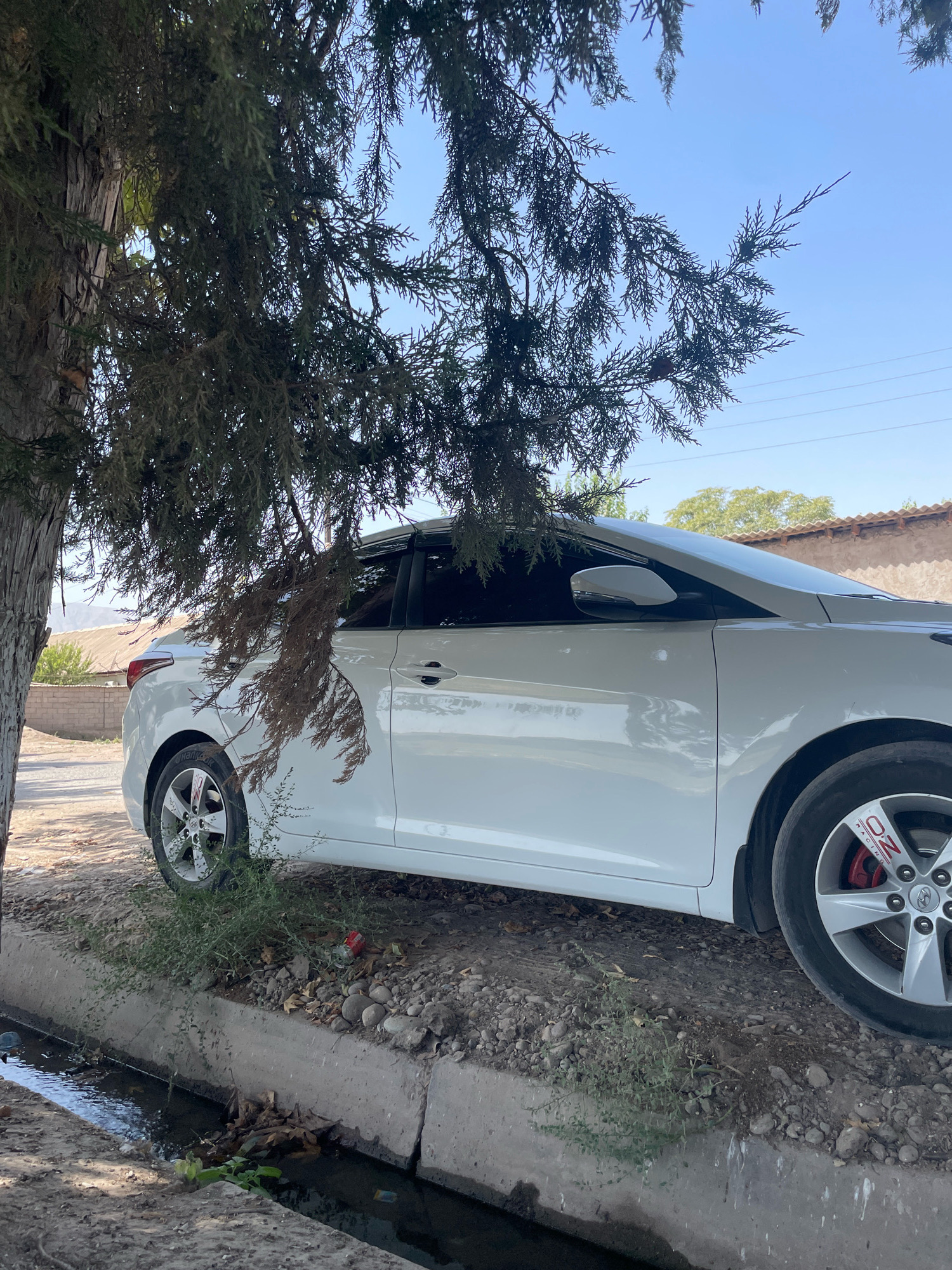 A white sedan is parked on the side of a dirt road next to a concrete irrigation ditch. The car is partially obscured by the branches of a large tree. The ditch is filled with murky water and some debris. In the background, there are buildings with tiled roofs and some vegetation. The sky is clear and blue. The scene appears to be in a rural or semi-rural area. The location is specified as Pasariq, Tajikistan.