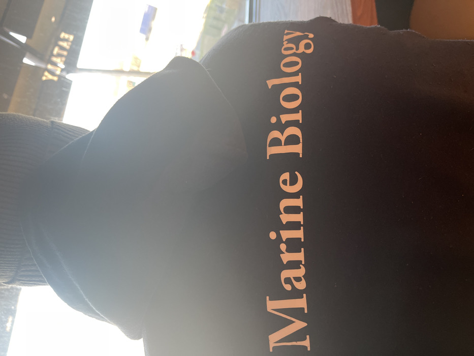 An image, rotated 90 degrees counter-clockwise, shows the back of a person wearing a dark hoodie or sweatshirt. The person is positioned indoors, next to a brightly lit window, with the light source creating significant glare and overexposure in the background. The fabric of the garment shows some minor pilling.
The primary subject is the person's back and upper shoulder, partially obscured by light. On the back of the hoodie, running vertically (when the image is viewed with the text upright), is the phrase "Marine Biology" in a light, possibly copper or peach-colored, sans-serif font.
The setting appears to be a well-lit interior, possibly a cafe or public space, given the large window. Through the overexposed window, a faint, reversed reflection of the word "EATALY" is visible, indicating a commercial establishment. The bright light suggests it is daytime, likely sunny weather outside. No specific activity is discernable other than the person being present in the space. The overall mood is quiet and still.