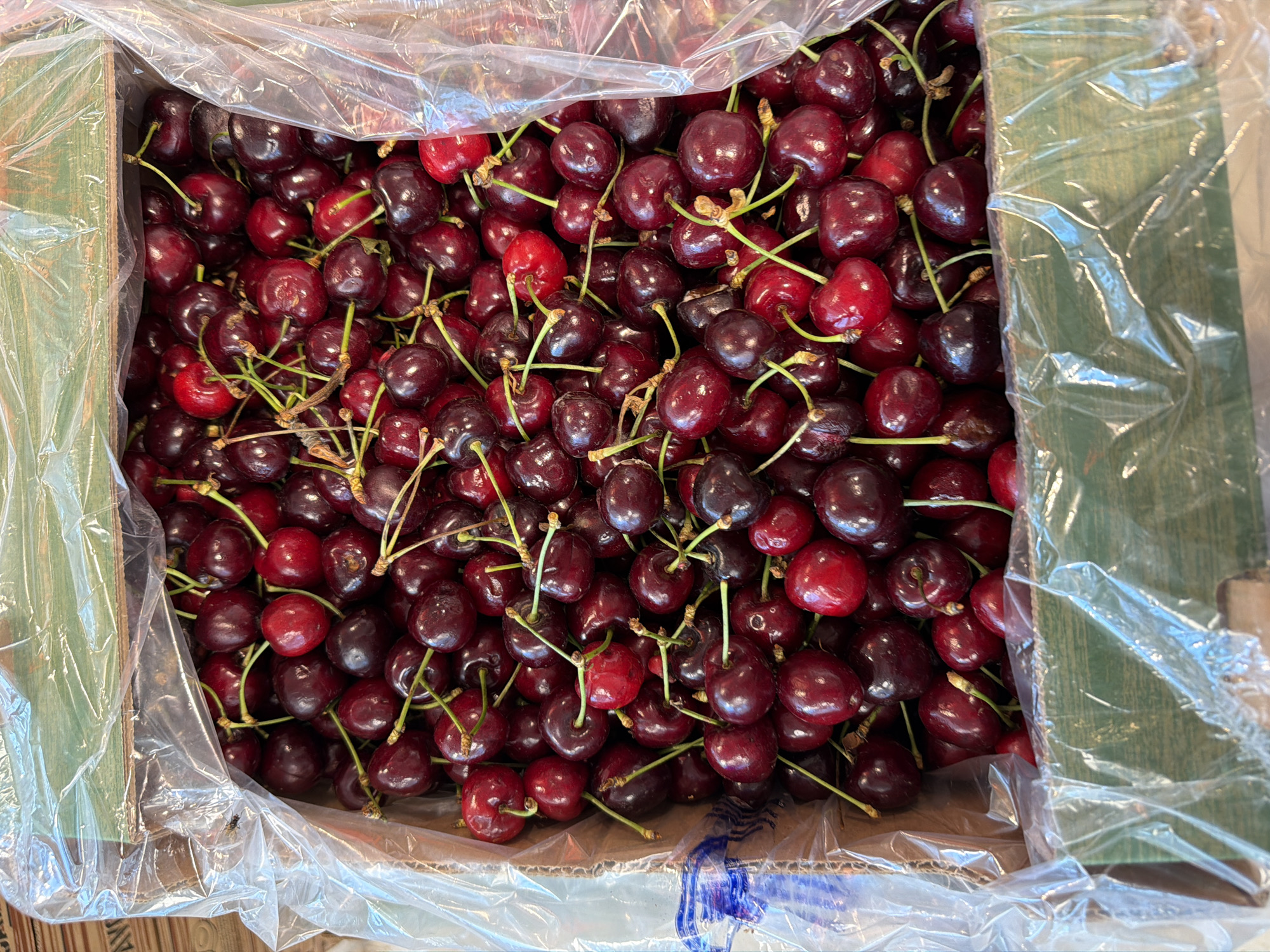 This is a close-up, overhead, eye-level shot of a large quantity of dark red cherries packed in a cardboard box lined with clear plastic. The cherries are plump and appear to be fresh, with some stems still attached. The box has green striped sides and is partially filled with the fruit, spilling slightly over the top edge. The lighting is bright and appears to be natural, casting subtle shadows on the cherries. No people are visible in the image. The scene depicts a commercial or domestic setting where fresh produce is stored or transported. The location is not discernible from the image itself.