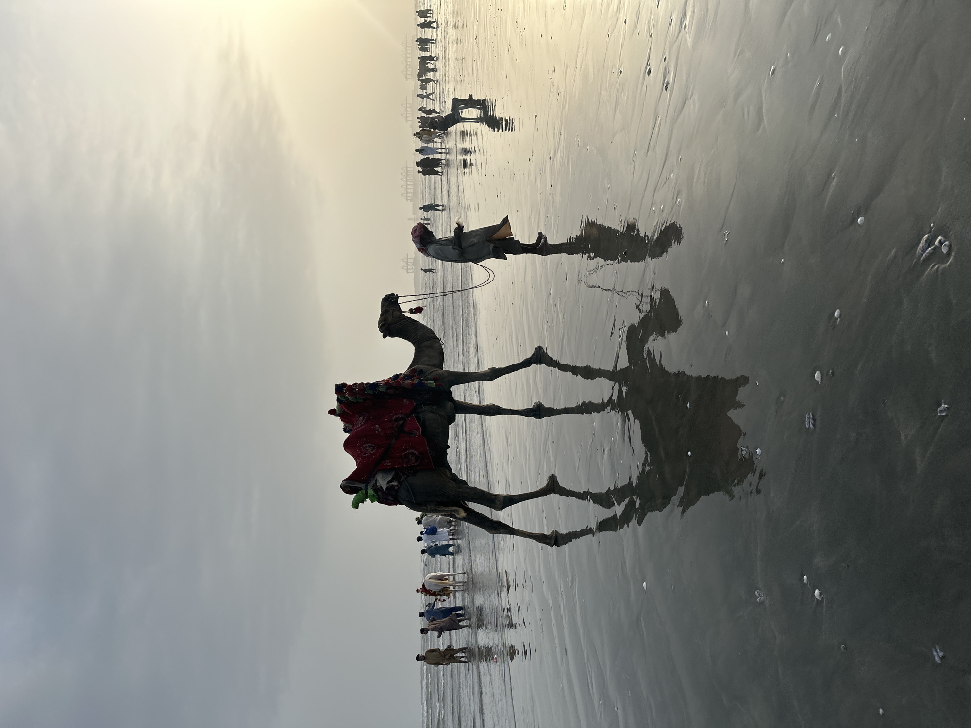 A vertical photograph shows a beach scene with several people and camels. The foreground is dominated by a camel with a red and patterned blanket on its back, being led by a person in a traditional outfit. The camel and its handler are reflected in the wet sand, creating a dramatic mirror image.
Behind them, a line of people and more camels stretches into the distance along the shoreline. Some people are riding the camels, while others walk alongside them. The camels are adorned with colorful blankets, adding to the vibrancy of the scene. The sky is overcast, with the sun faintly visible through the clouds, suggesting either early morning or late afternoon light. The wet sand reflects the sky and the figures, giving the image a somewhat ethereal quality.
The presence of camels and the attire of the people suggest a location in South Asia, consistent with the provided context of Karachi Division, Pakistan. The overall atmosphere appears to be relaxed and leisurely, with people enjoying a day at the beach. The shallow water's edge is visible, creating a line between the wet sand and the sea. There is no visible text in the image.