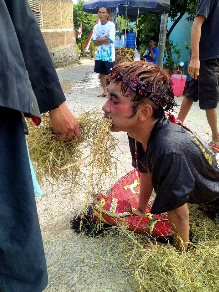The image depicts an outdoor scene in the city of Sepat, Indonesia, capturing a traditional performance. In the foreground, a young adult male performer is kneeling on a light-colored ground, his head lowered. His reddish-brown hair appears wet and is secured with a patterned bandana. His face is visibly stained with red and white pigment, particularly around the cheeks and eyes. He is actively consuming or biting into a large clump of dried grass or hay, which extends from his open mouth. His hands are placed on the ground next to a red, flat, woven horse prop, characteristic of a "Kuda Lumping" performance, adorned with yellow, white, and black painted details.
To the immediate left, a hand from a partially visible individual, wearing a dark garment and adorned with a ring, is holding and extending a bundle of the dried grass towards the performer's mouth. Scattered dried grass is visible on the ground around the central figure.
In the mid-ground, multiple individuals observe the scene. An adult male stands with his arms crossed, wearing a white t-shirt with blue patterns and dark shorts. Behind him is a blue canopy structure, likely a vendor stall, holding large water dispensers. Another adult male is partially visible on the right side of the frame, wearing dark shorts. Further in the background, a person in a blue shirt is visible under the canopy.
The environment includes a light-colored paved or dirt path, a brown brick wall on the left, and green foliage/trees in the distance. A red and white flag is partially visible on the left side, attached to a pole. A pink bucket is also visible on the right side of the path. The scene is brightly lit by natural daylight.