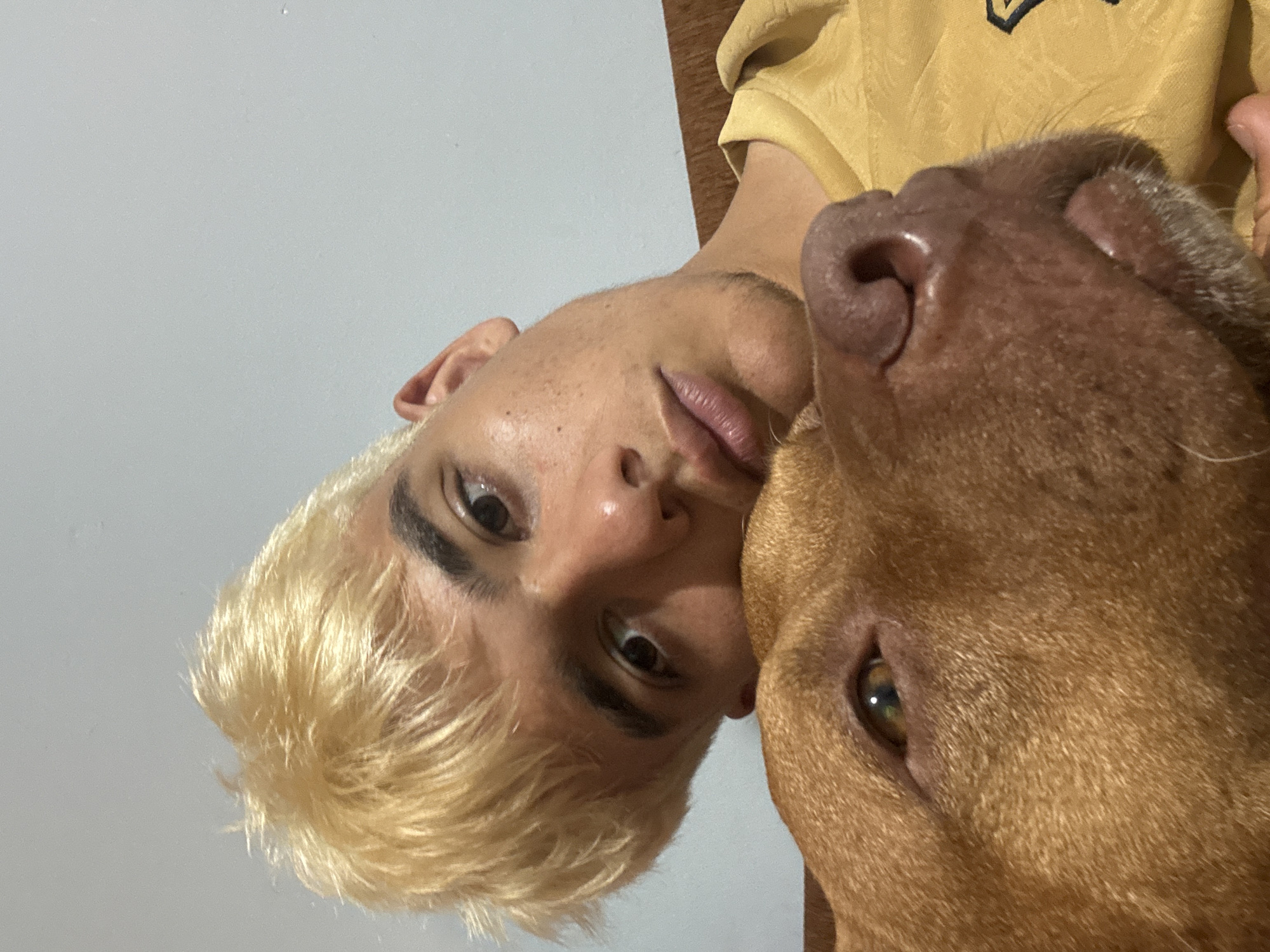 A young male with bleached blonde hair leans his head against a tan-colored dog, who is also looking at the camera. The man is wearing a yellow t-shirt. The dog's nose and eye are prominently in focus, with the man's face partially obscured. The background is a plain, light-colored wall. The image appears to be a selfie taken indoors.