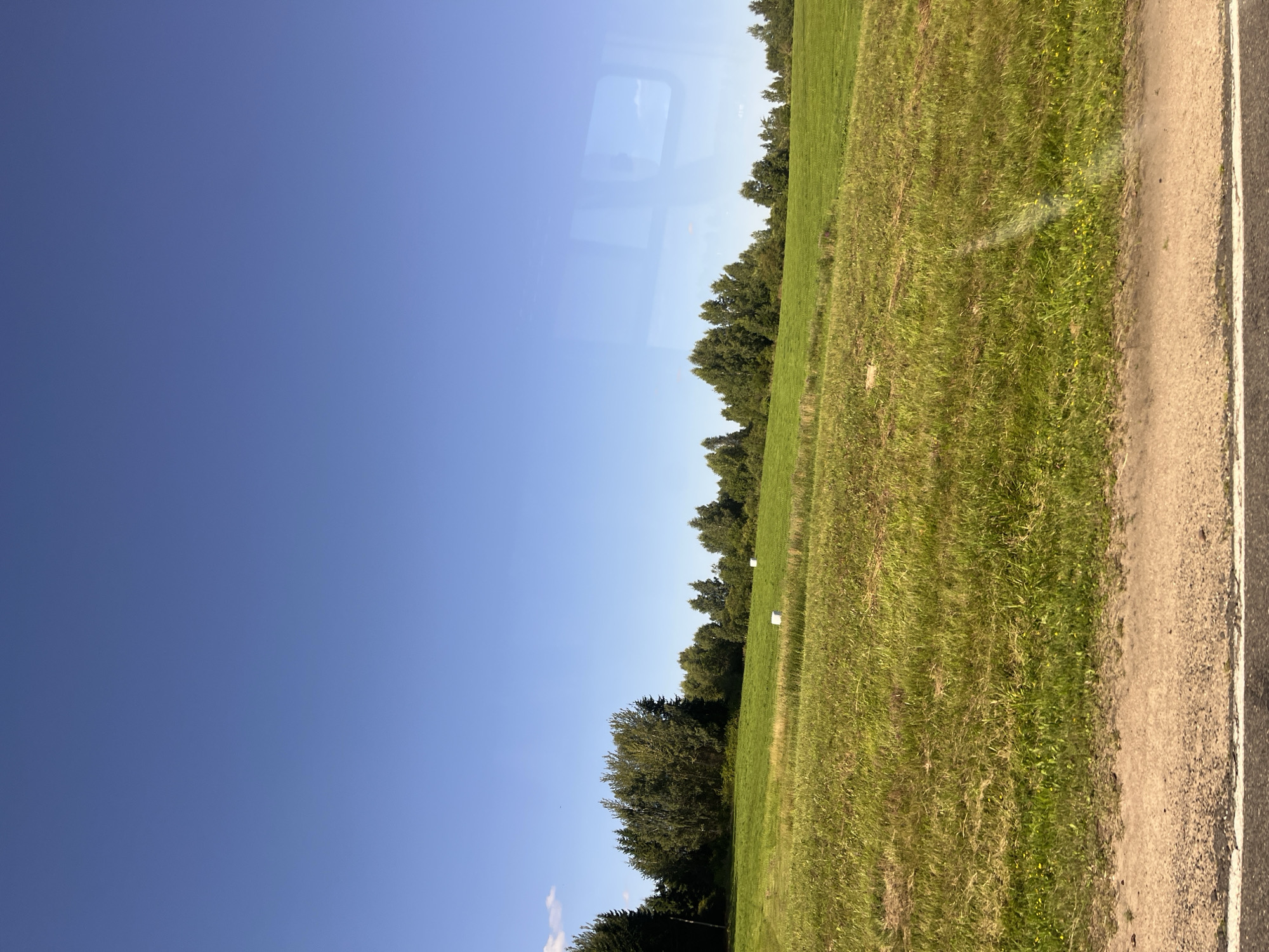 A wide-angle, horizontal, eye-level photograph captures a sunlit pastoral landscape under a clear, vibrant blue sky. The scene is dominated by a gently rolling green field, dotted with two white, cylindrical bales of hay wrapped in plastic. A line of diverse deciduous and coniferous trees forms a natural border across the mid-ground. In the foreground, a strip of rough, sandy earth runs horizontally, demarcated by a thin white line at its lower edge, suggesting a road or path. The overall impression is one of rural tranquility and open space, consistent with the outskirts of a rural settlement like Myadzyel, Belarus, on a bright, clear day. There are no people or animals visible in the frame.