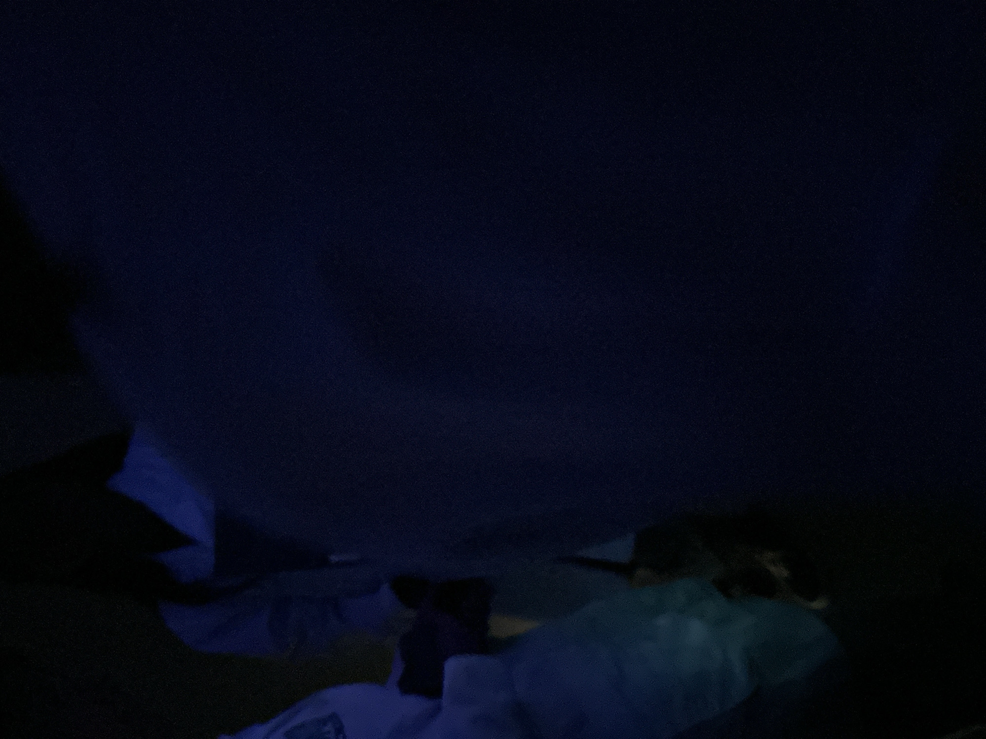 The image portrays an extremely dark indoor scene, predominantly cast in deep blue and navy tones due to very low light conditions. The upper two-thirds of the frame are a vast, dark blue, grainy surface, likely a ceiling, wall, or a large piece of fabric such as a blanket.
In the lower third, the faint outlines of what appear to be at least two individuals are visible. On the left, a figure is suggested by light blue clothing or bedding, with darker, shadowed forms around it. Towards the center and right, more light blue and teal fabrics are present, interspersed with dark, obscured shapes that hint at another person or parts of their body, possibly covered in bedding. A lighter, possibly white, garment can be glimpsed beneath some of the blue fabric in the central area.
The pervasive darkness and strong blue hue indicate that the scene is set at night or in a very dimly lit room, possibly illuminated by a blue-toned artificial light source, such as a television screen or ambient lighting. Due to the lack of clarity, no specific activity or emotions can be determined, but the presence of people and bedding suggests a resting or relaxed state. No text is visible in the image.