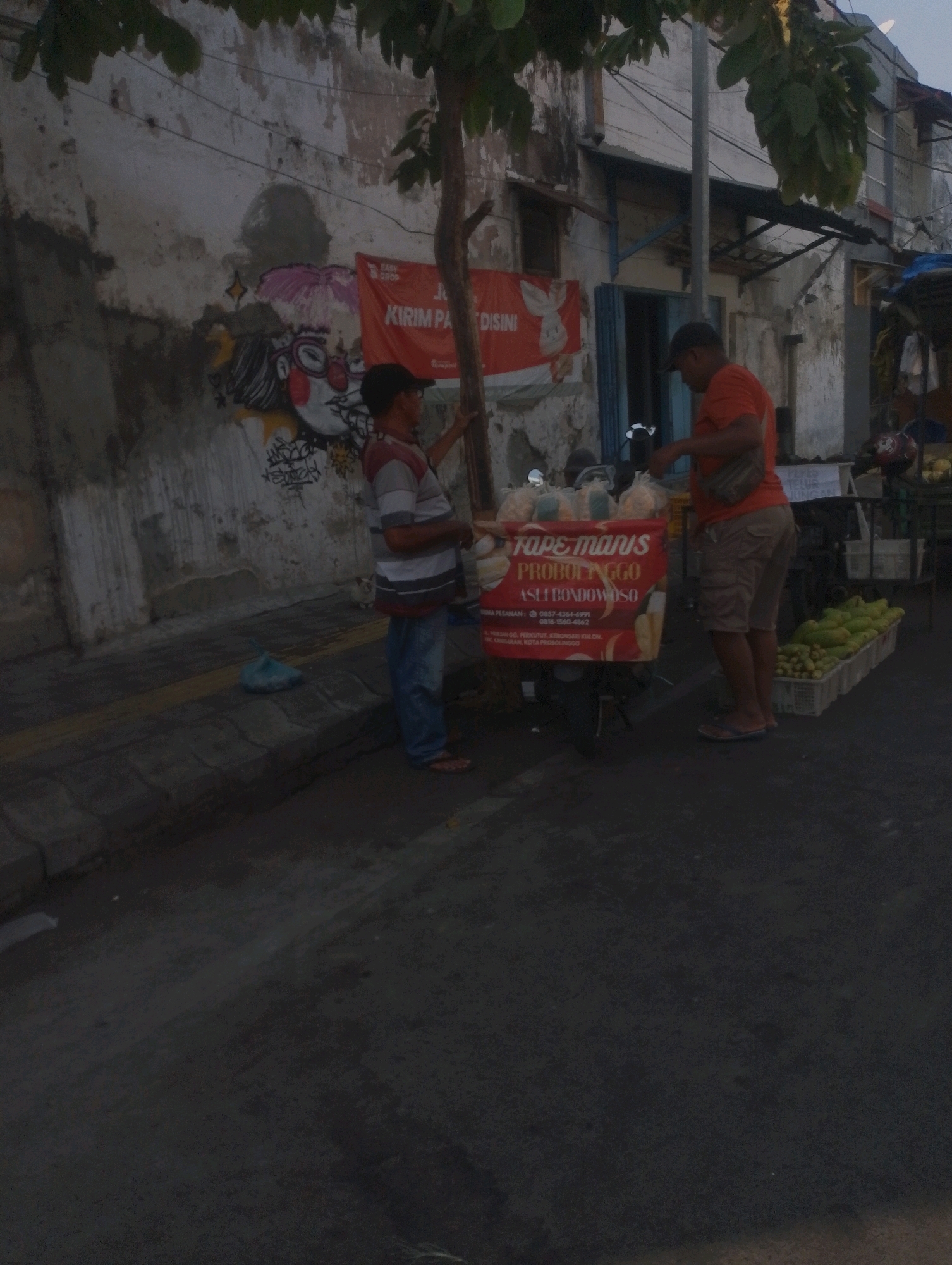 The image captures a street scene in Probolinggo, Indonesia, focusing on a fruit vendor and his cart. A young man wearing a striped shirt and jeans stands by a cart laden with fruits, possibly tape. He is facing the cart and appears to be interacting with it. To his right, another man in an orange shirt and khaki shorts stands near the cart, holding a bag and looking towards the cart. The cart itself is adorned with a red banner featuring text in Indonesian, identifying the product as "TAPE MANIS PROBOLINGGO ASLI BONDOWOSO," and providing contact information. Behind the vendor and cart, a dilapidated wall displays graffiti, including a stylized portrait and a red banner with Indonesian text. The street is paved and a curb is visible. The environment suggests an urban setting, likely an outdoor market or a busy street. The lighting indicates it is either early morning or late afternoon.