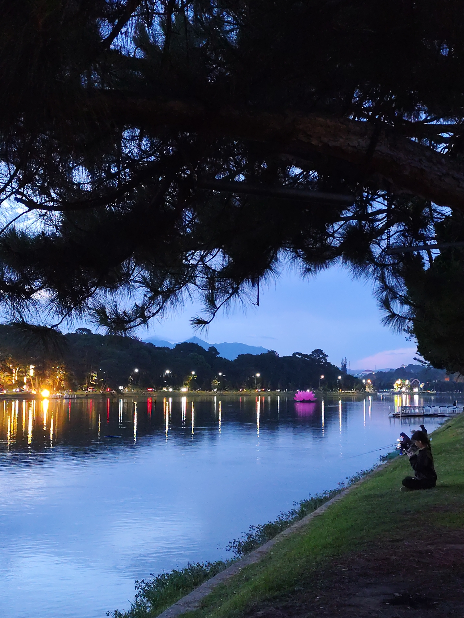 The image captures a serene evening scene at Xuan Huong Lake in Da Lat, Vietnam. A large tree branch with dense foliage dominates the upper portion of the frame, partially obscuring the sky. Below, the calm surface of the lake reflects the lights of the city, creating a shimmering effect. A pink lotus-shaped structure floats in the lake near a dock. On the grassy bank in the foreground, two people are sitting, seemingly engaged in fishing, as fishing rods are visible. The scene is set against a backdrop of distant hills and the city's illuminated skyline.