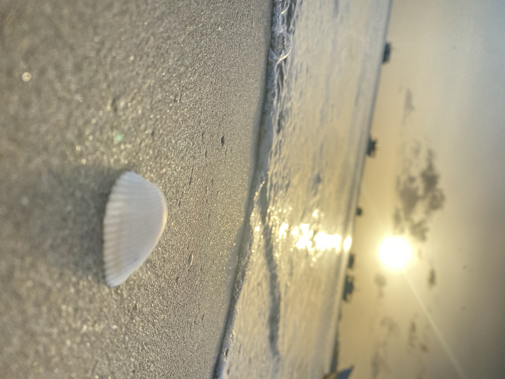 A close-up, low-angle shot depicts a white seashell resting on wet sand at a beach, possibly Playa Caribe in Juan Griego, Venezuela. The tide is receding, with foamy water near the shell. The sun is shining brightly and low in the sky, reflecting off the water's surface. Clouds are visible near the horizon, indicating either sunrise or sunset.