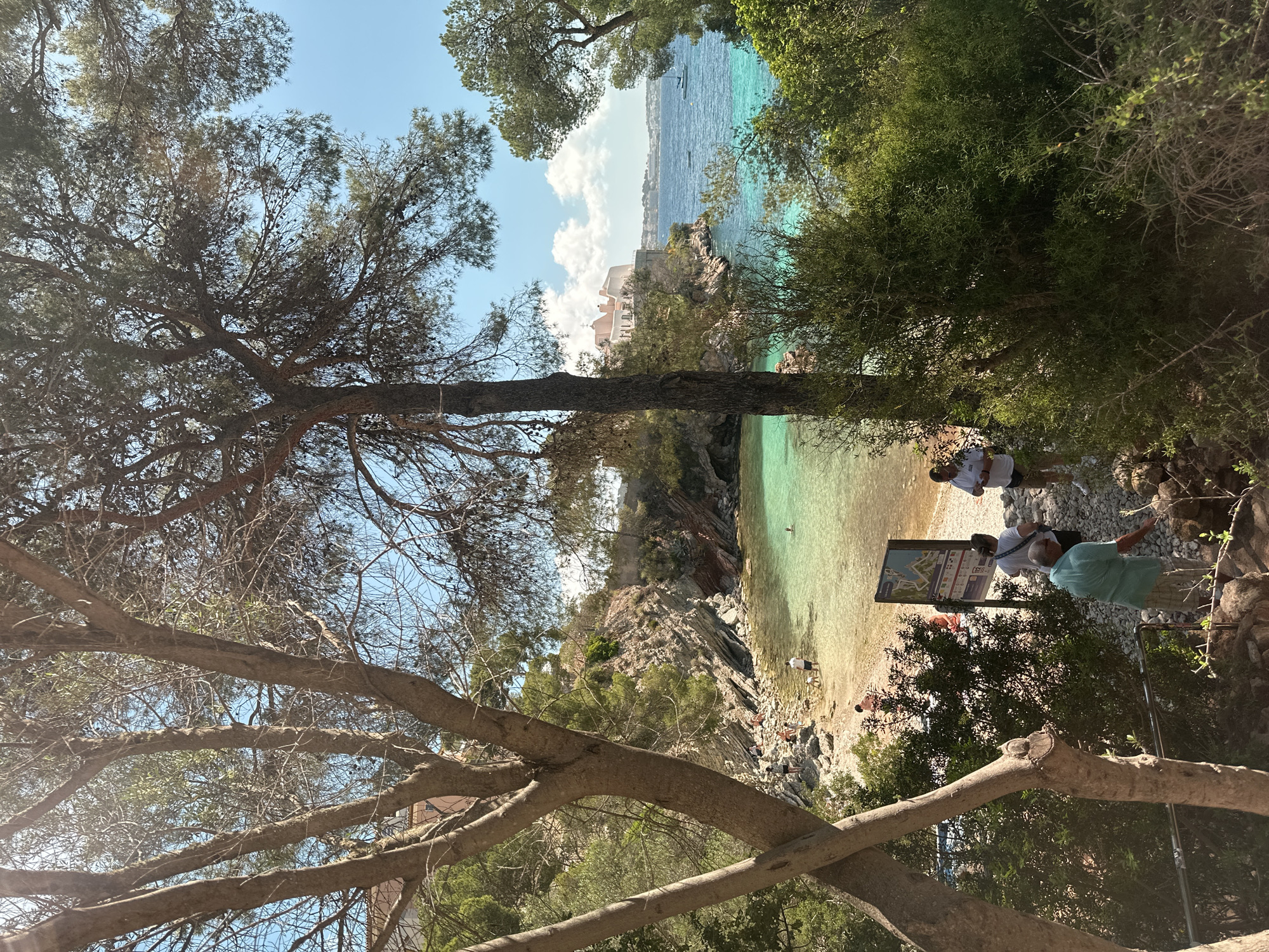 Captured from an elevated perspective and tilted, the image presents a beach in Peguera, Spain. Lush vegetation frames the scene on both sides. A large tree dominates the left side of the frame, with its branches partially obscuring the view. The beach itself is a mix of sand and pebbles, with people scattered across the shoreline. The water is clear and turquoise. In the distance, buildings can be seen on a rocky outcropping along the coast. Near the right side, several individuals are gathered near a sign or information board, with one person gesturing. The overall setting is a natural, coastal landscape.