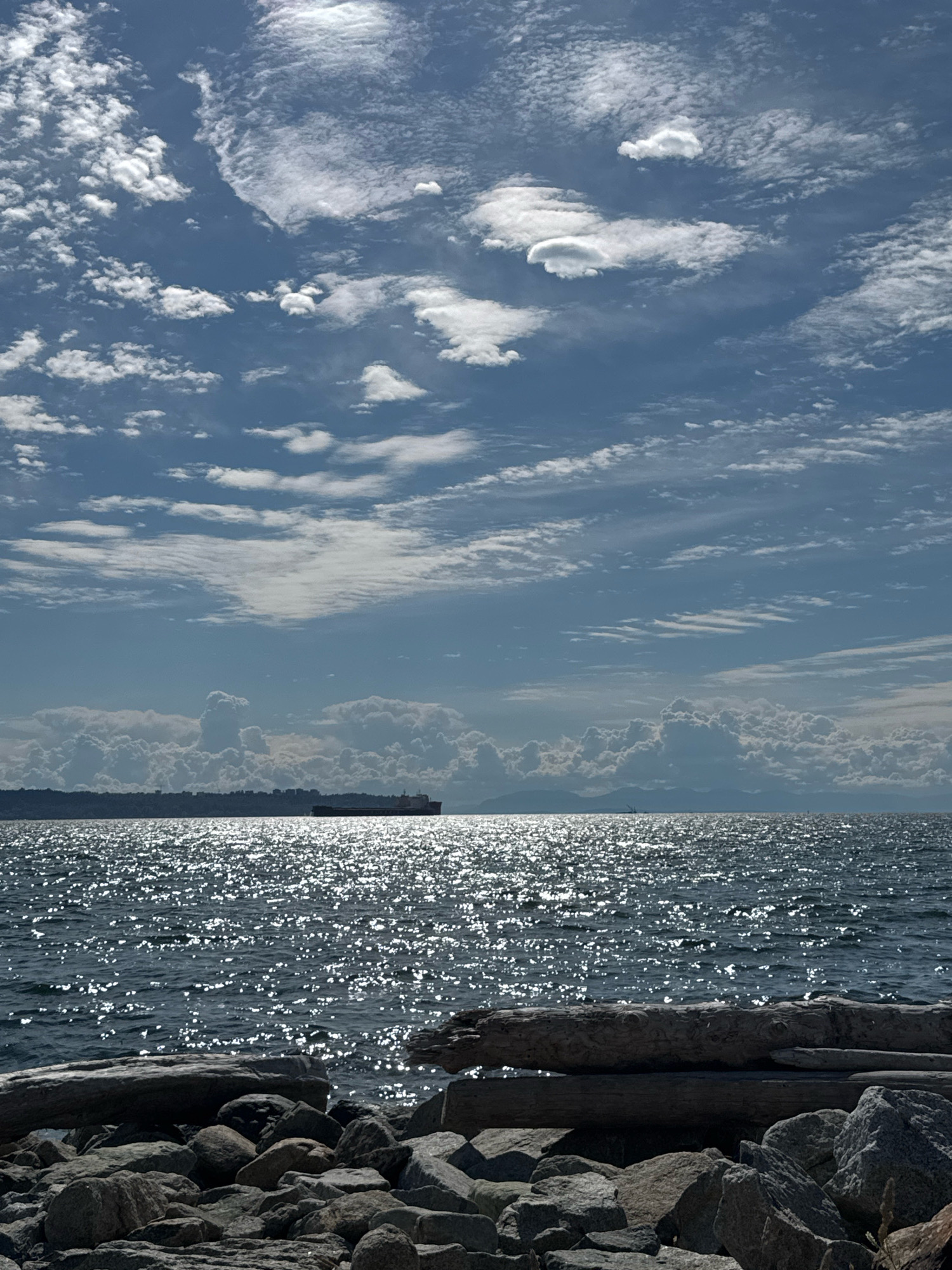 The image captures a sun-dappled ocean view from the rocky shore of West Vancouver, Canada. In the foreground, weathered driftwood logs rest atop a collection of grey stones and rocks, framing the scene. The sea is a deep, dark blue, reflecting the bright sunlight with countless shimmering sparkles, creating a vibrant, textured surface.
In the middle ground, a large cargo ship sails across the horizon, silhouetted against the dazzling water. Behind the ship, a distant landmass, likely the city skyline of Vancouver or North Vancouver, stretches across the horizon as a dark, indistinct line.
The sky above is a canvas of blue, punctuated by a variety of clouds. Wispy cirrus clouds streak across the upper portion of the frame, while larger, more voluminous cumulus clouds gather in the middle distance, some appearing dark and heavy with potential rain, others bright and fluffy against the blue expanse. The overall impression is one of a bright, dynamic day with a strong interplay of light and shadow across the water and sky.