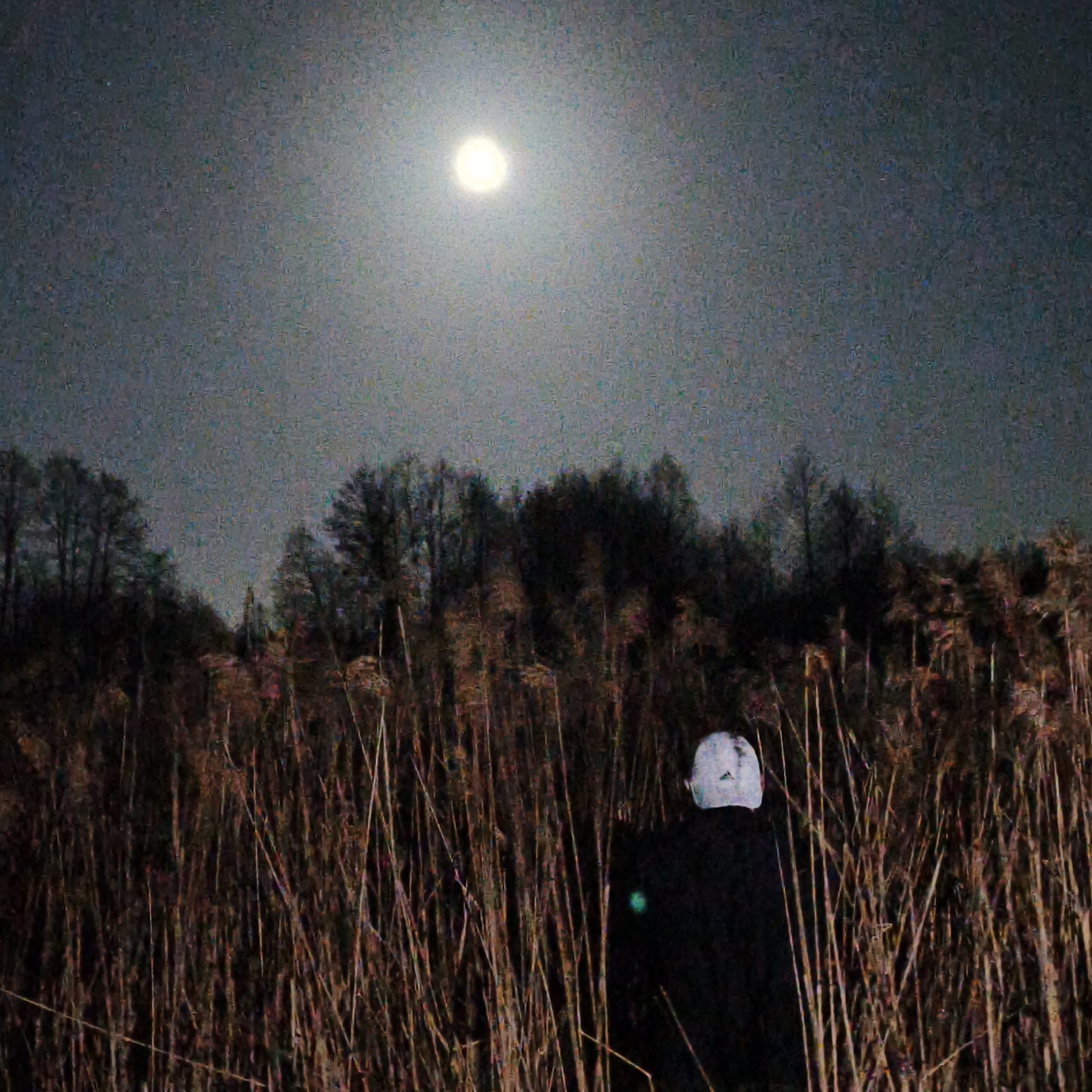 The image shows a night scene in Парэчча, Belarus. A person wearing a white mask stands amongst tall reeds or grasses. Behind them is a line of trees. The sky is dark with a bright moon visible. The scene has high levels of visual noise, typical of a low-light photograph. The figure's clothing is dark and indistinct.