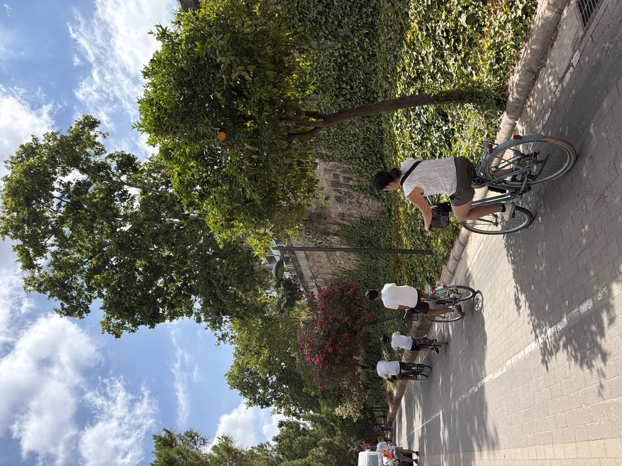 In Unknown, Unknown, on a sunny day, several people are cycling on a paved path. In the foreground, a woman with dark hair pulled back in a ponytail is riding a light blue bicycle. She is wearing a white, short-sleeved, lace-patterned top and olive-green shorts. A dark bag is slung over her shoulder. Behind her, three individuals on bicycles are also visible. Two are wearing white t-shirts and one is wearing a white t-shirt with a black helmet. The path is bordered by a low curb and a dense green ivy-covered wall. To the left of the path, there are trees and a vibrant pink flowering bush. The sky above is blue with scattered white clouds, and large green trees are visible throughout the scene. A street lamp stands near the wall.