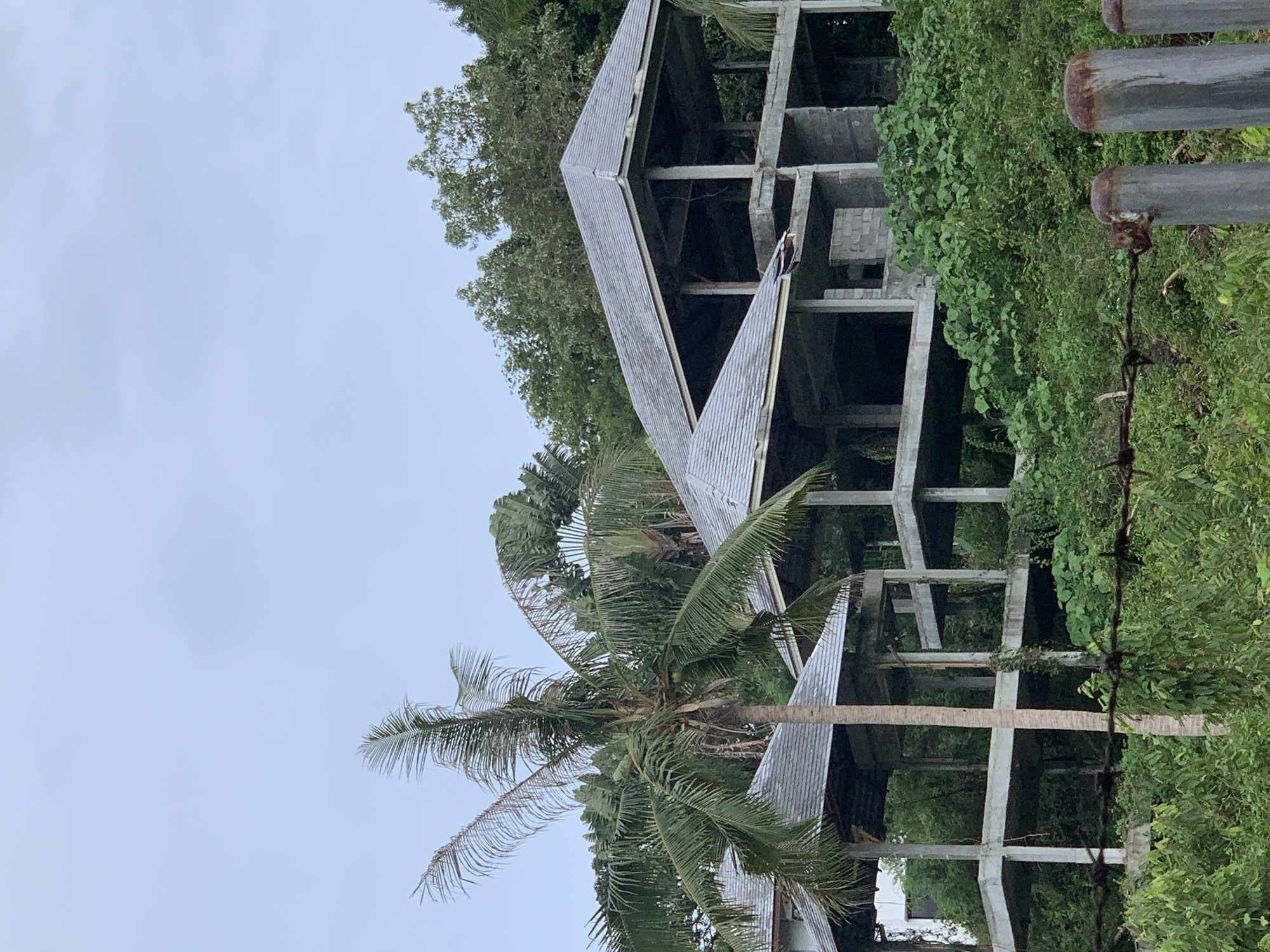 The image shows the decaying, concrete shell of an unfinished or abandoned multi-story building in what appears to be a tropical environment in บ้านบางรักษ์, Thailand. A mature palm tree stands prominently in the foreground, partially obscuring the building's skeletal frame. The building's exposed concrete structure consists of pillars and beams, and a roof. Overgrowth of dense green vegetation surrounds the building, obscuring lower portions of the structure. A rusted barbed wire fence and metal posts runs along the right side of the image. The sky is overcast and gray. There are no people visible in the image.
