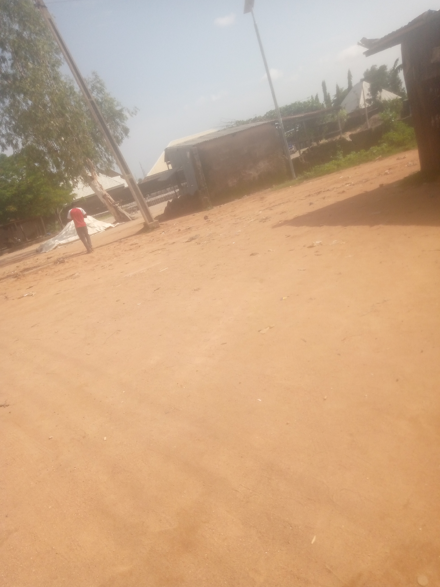 The image depicts an outdoor scene on a dusty, reddish-brown dirt road in Jalingo, Nigeria. A single person, wearing a red and white t-shirt and dark trousers, is walking away from the camera. To the left, a tall utility pole with wires runs vertically through the frame, partially obscured by the leaves of a large tree. In the background, there are several buildings, including a long, low-rise structure with a corrugated metal roof and another building with a peaked roof. The sky is bright and hazy, suggesting it is daytime. The overall environment appears to be a semi-urban or rural area, characterized by unpaved roads and modest structures.