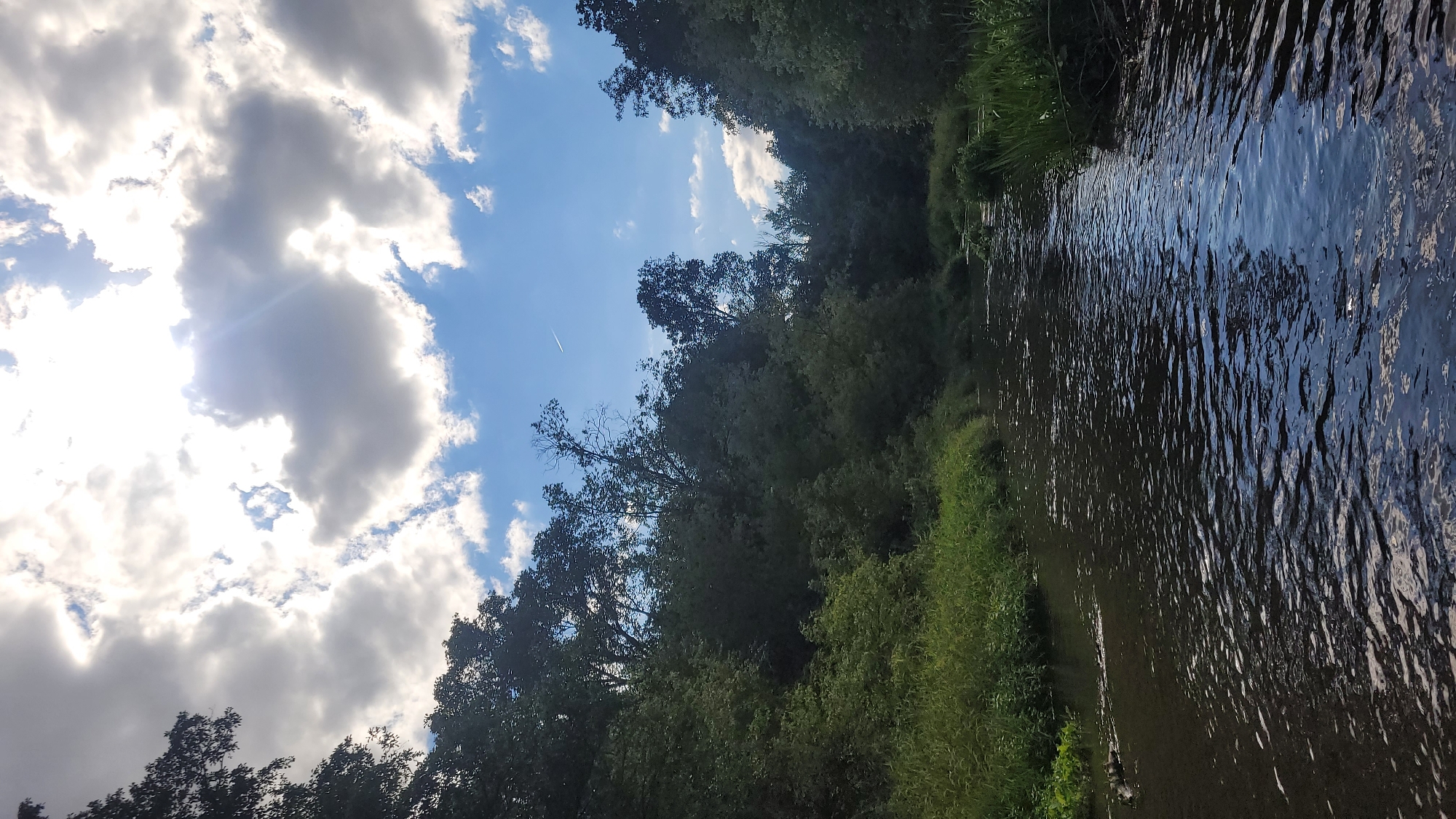 The image depicts a serene natural landscape. A calm river flows through a verdant forest. The sky above is a mixture of blue sky and dramatic, sunlit clouds. The lush green foliage on either side of the river suggests a thriving ecosystem. The overall impression is one of natural beauty and tranquility. No specific landmarks or elements tie this scene to Józefów, Poland.
