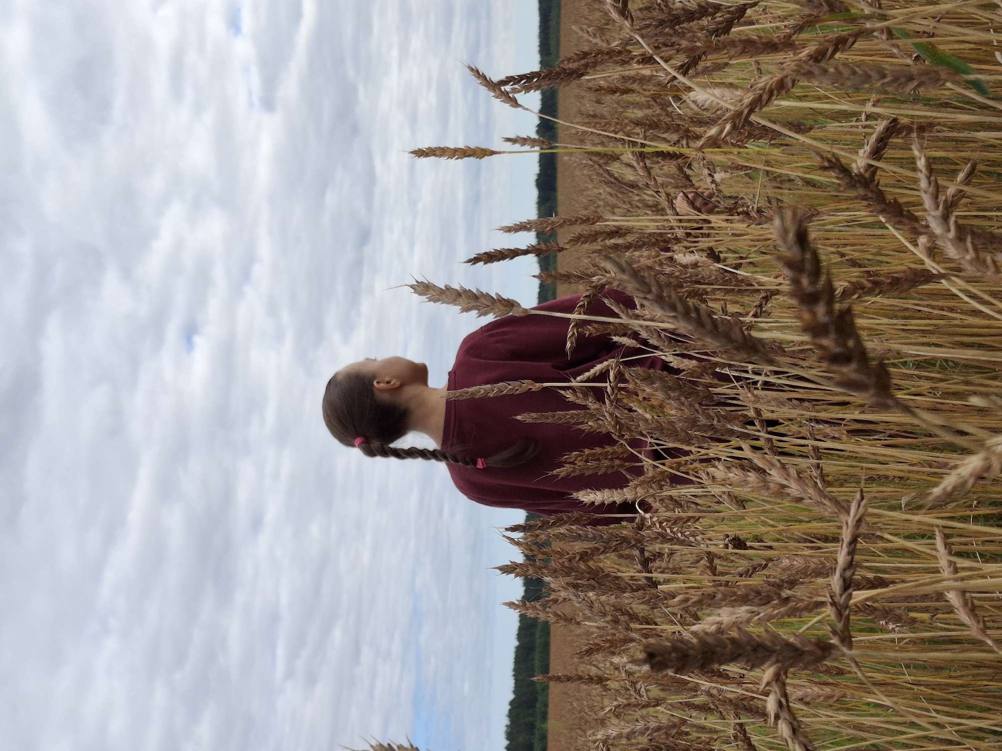 A young person with braided hair stands in a field of wheat, facing away from the camera and looking to the right. The person is wearing a maroon long-sleeved shirt. The wheat stalks are tall and dry, dominating the foreground and midground of the image. In the background, a dark line of trees separates the field from a cloudy sky. The scene appears to be set in a rural location, possibly Plishkino, Russia, based on the provided context. The lighting suggests an overcast day.