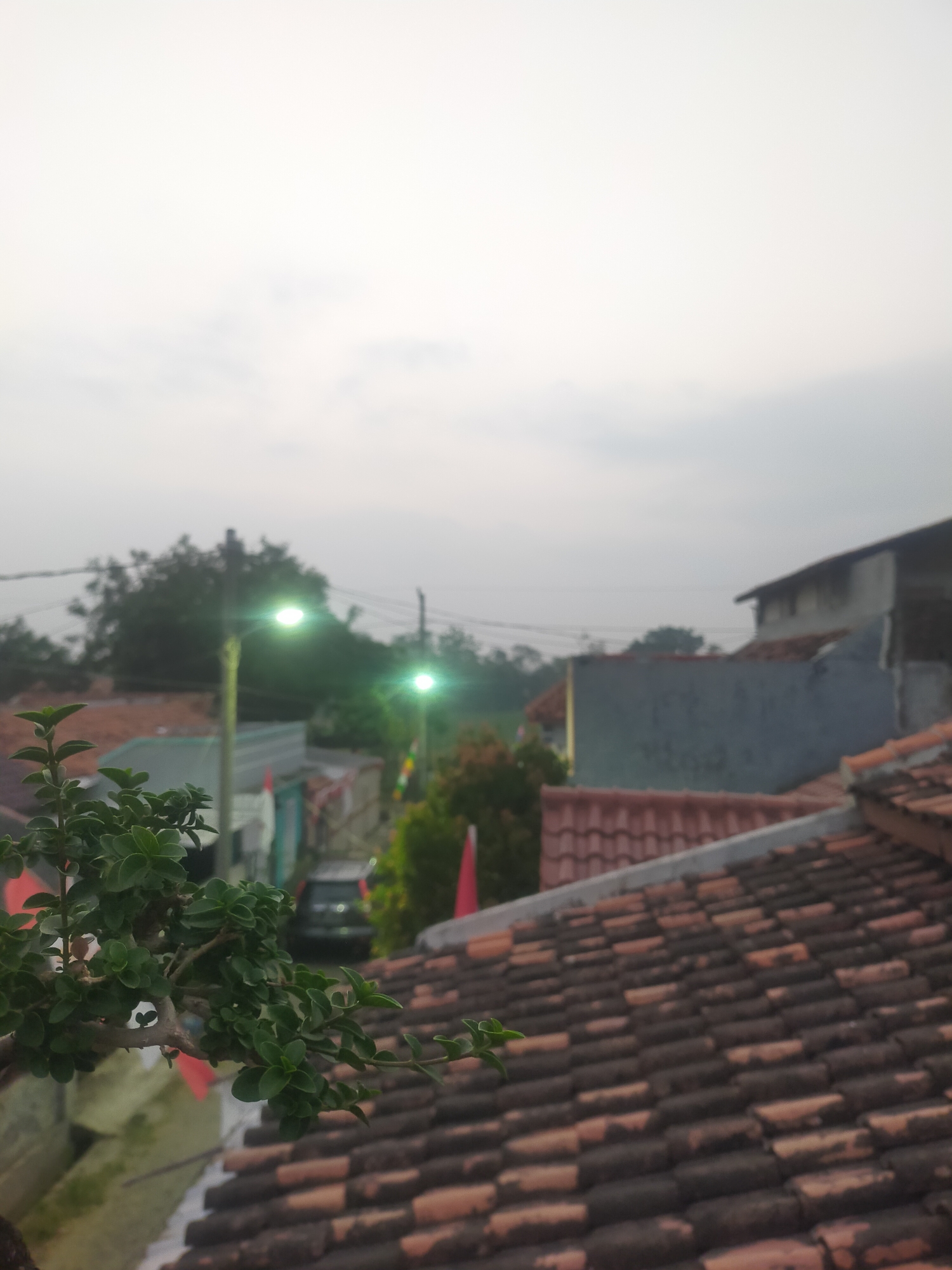 An outdoor, ground-level shot taken at dusk in Tegalandong, Indonesia, captures a residential area under a hazy sky. The foreground is dominated by the branch of a small, leafy plant, its vibrant green leaves contrasting with the weathered, terracotta roof tiles that fill the lower right portion of the frame. In the middle ground, streetlights with a distinct green glow illuminate the scene. Beyond these lights, several houses with tiled roofs are visible, interspersed with trees and foliage. A dark-colored car is parked on a street in the distance. The overall impression is one of a quiet, everyday neighborhood at the end of the day.