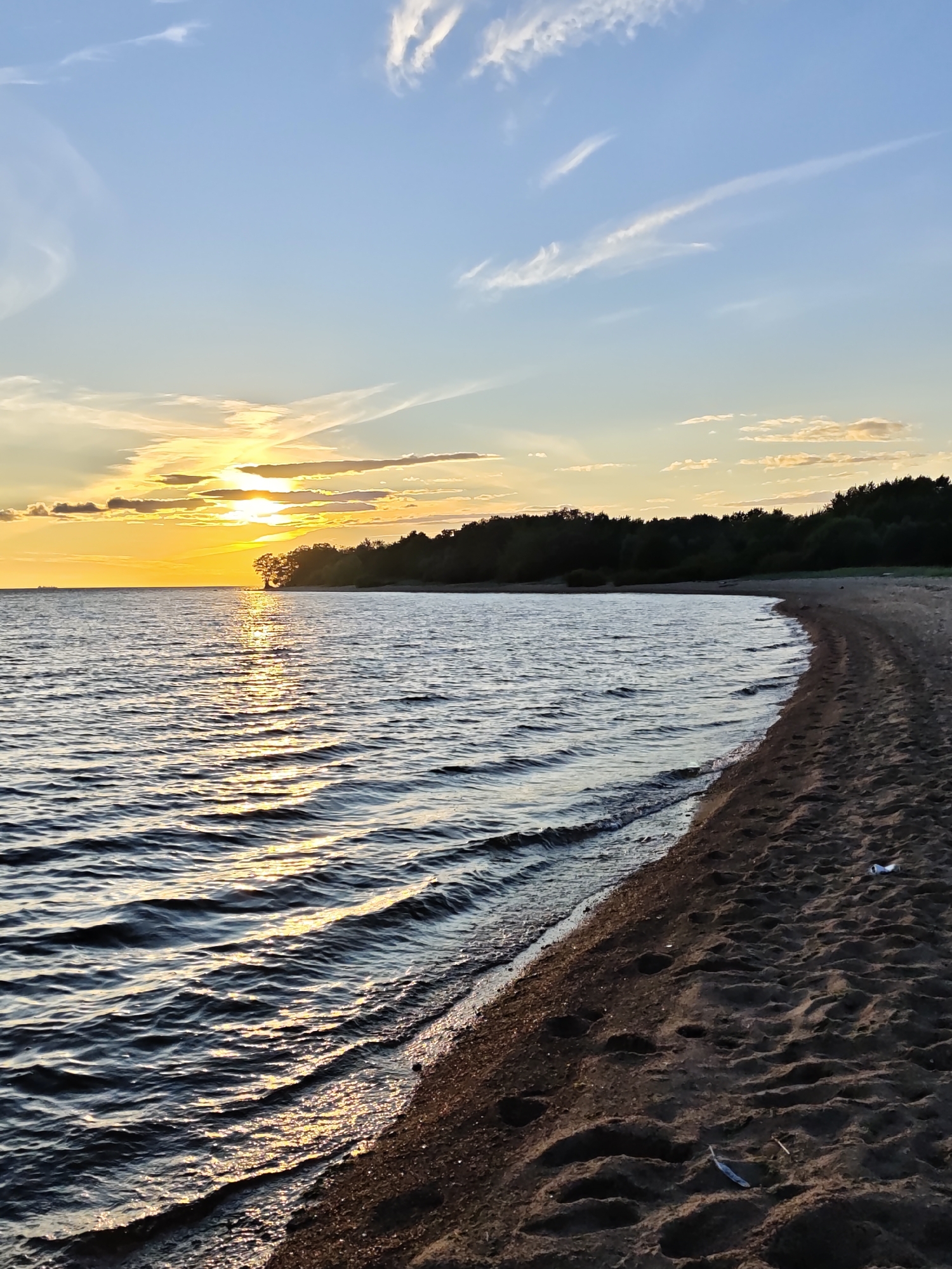 The image shows a serene sunset over the Gulf of Finland, near the city of Kronstadt, Russia. The sun, a vibrant orb of golden-yellow, is setting on the left side of the frame, casting a shimmering reflection across the calm, rippling water. The water's surface is a deep blue, transitioning to lighter shades where the sunlight hits it.
A dark, tree-lined shoreline forms the horizon in the background, with a single, distinct tree standing out near the water's edge. The sky above is a soft blue, streaked with wispy, white clouds tinged with the warm hues of the sunset. The foreground features a sandy beach, with subtle footprints visible in the sand. The overall atmosphere is peaceful and tranquil.
