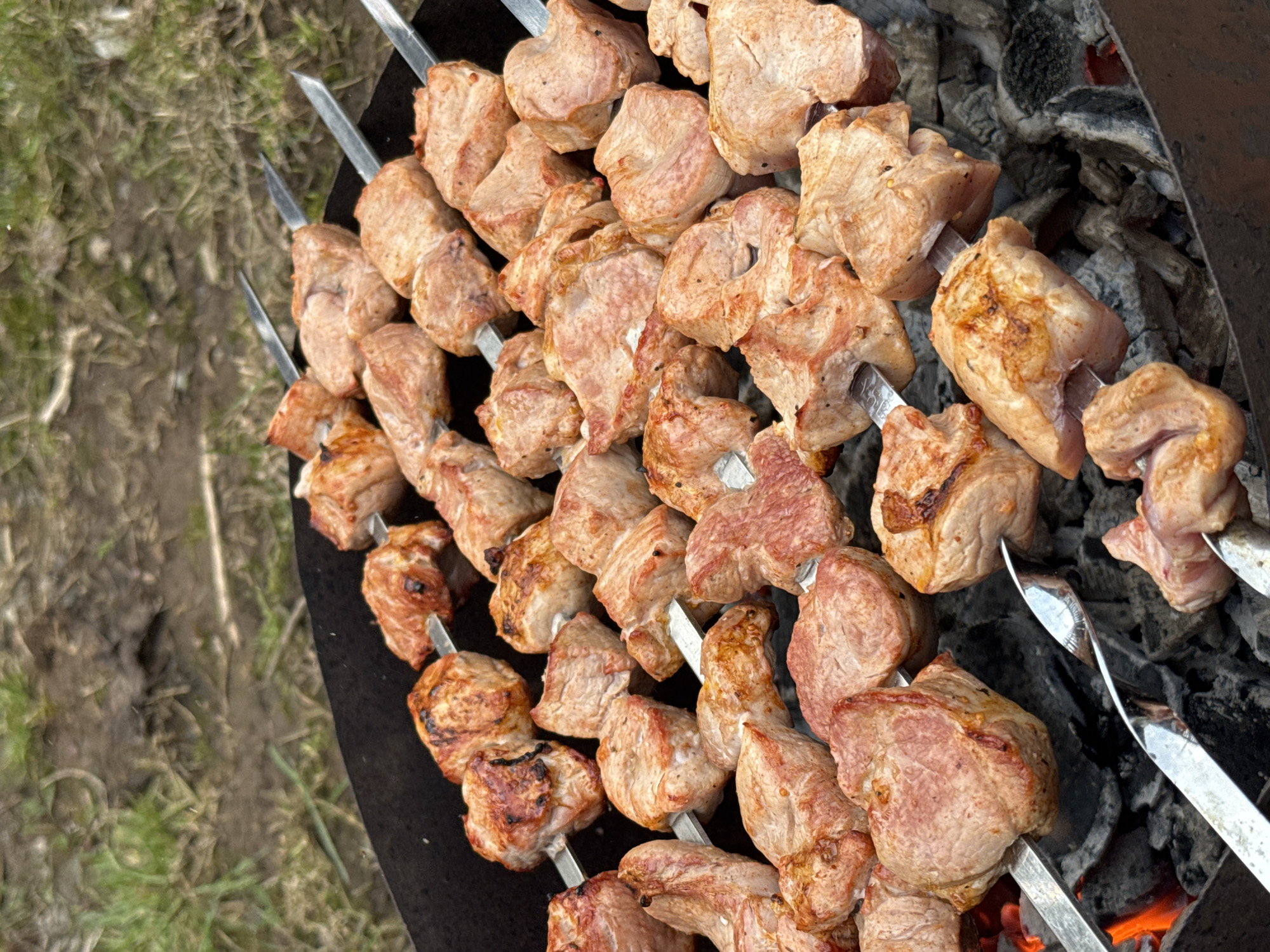The image provides a close-up, top-down view of numerous metal skewers laden with chunks of meat, actively cooking over a charcoal grill. The meat, likely pork or chicken, is cut into roughly square pieces and shows varying degrees of browning and light charring, indicating it is in the process of being grilled. The shiny metal skewers are arranged horizontally across a black, circular grill (mangal) containing a bed of glowing red and orange coals interspersed with grey ash.
To the left and bottom of the frame, the natural outdoor setting is visible, characterized by patches of green grass and damp, brownish soil. This suggests a casual outdoor cooking event, such as a picnic or gathering. The lighting appears natural, consistent with daytime. There are no people visible in the frame, nor any discernible text. The scene evokes the enjoyment of outdoor cooking and the preparation of a meal, typical of shashlik traditions in locations like Бородулино, Russia.